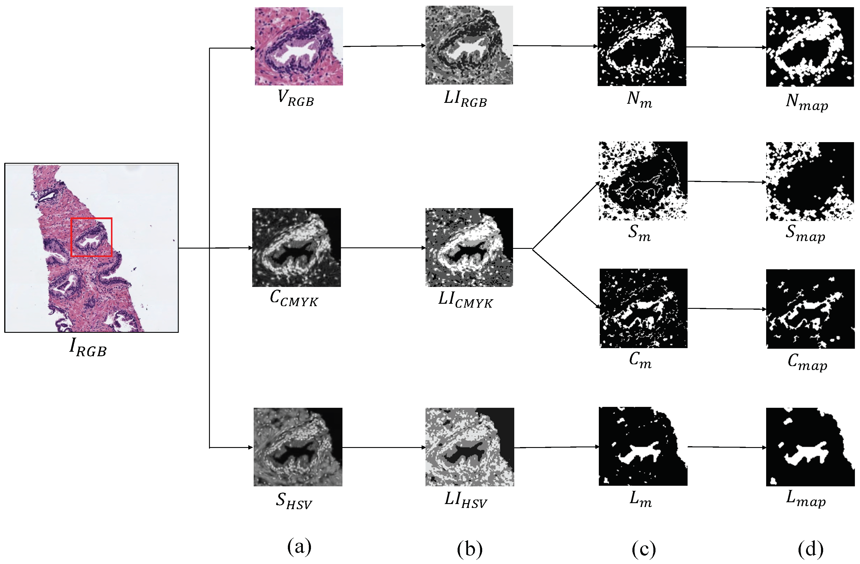 Entropy 21 00356 g004
