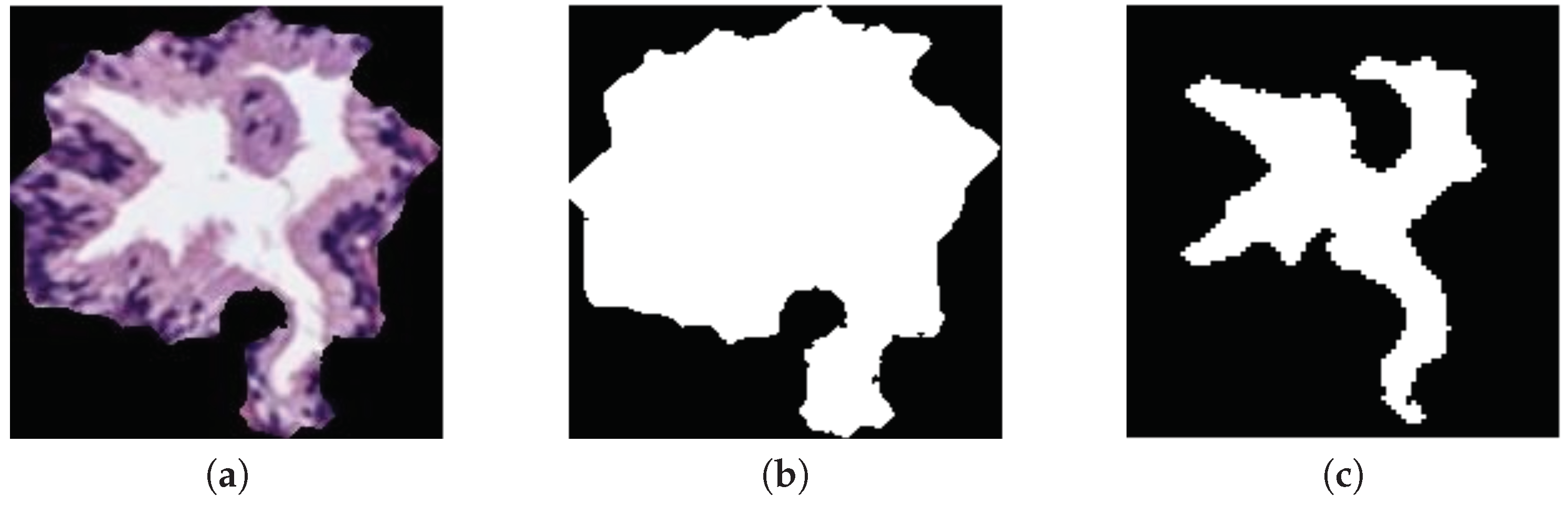 Entropy 21 00356 g005