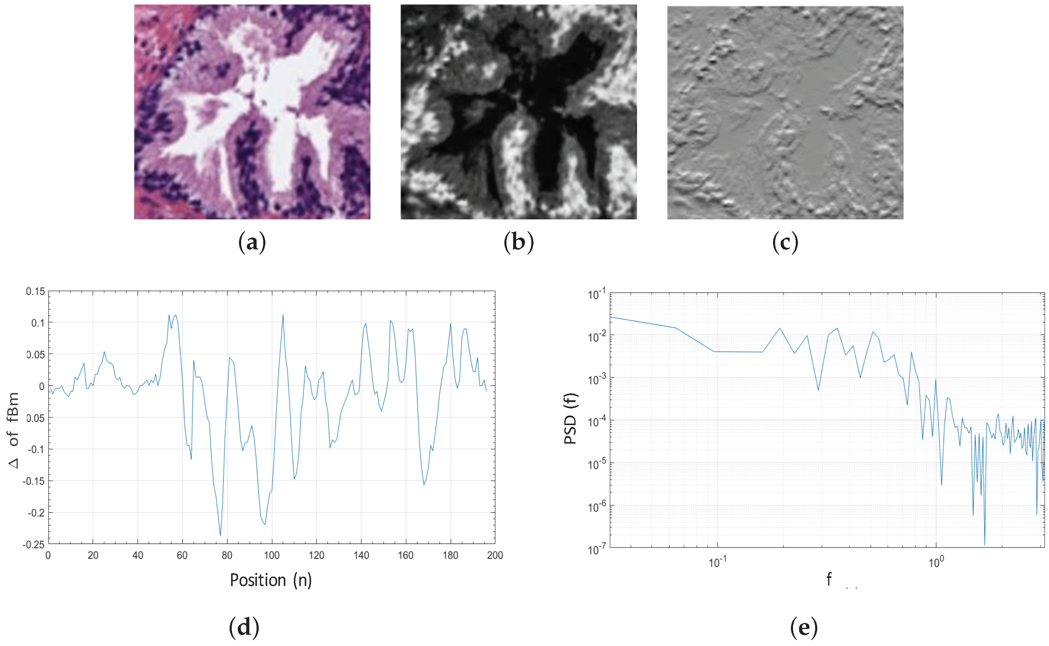 Entropy 21 00356 g007