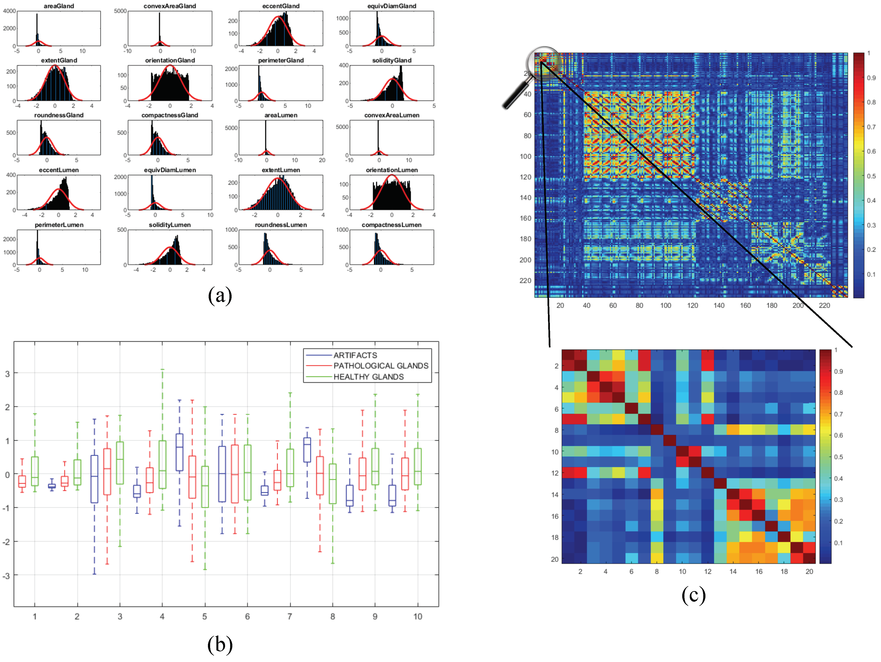 Entropy 21 00356 g010