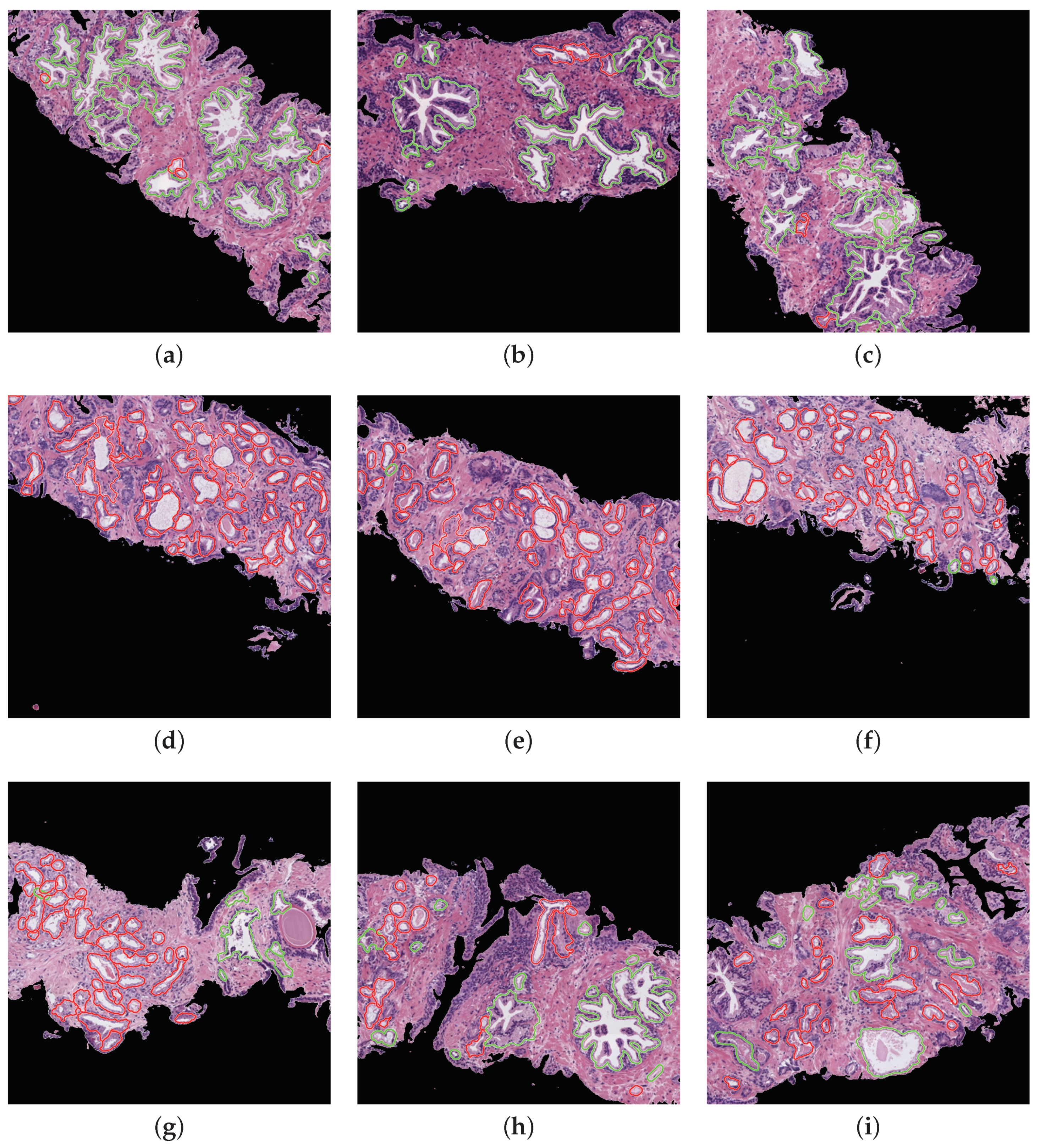 Entropy 21 00356 g016
