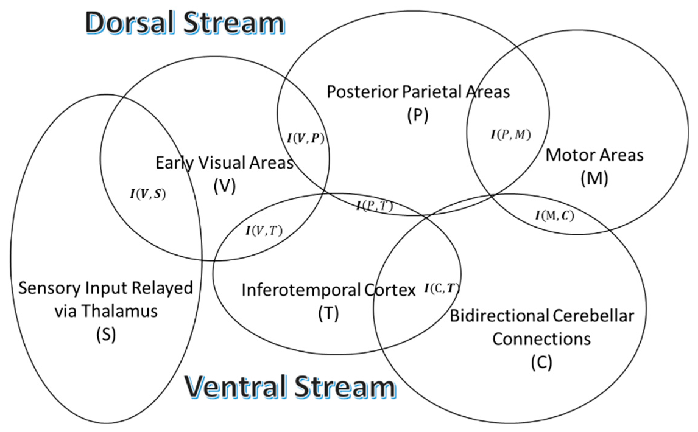 Entropy 21 00365 g004