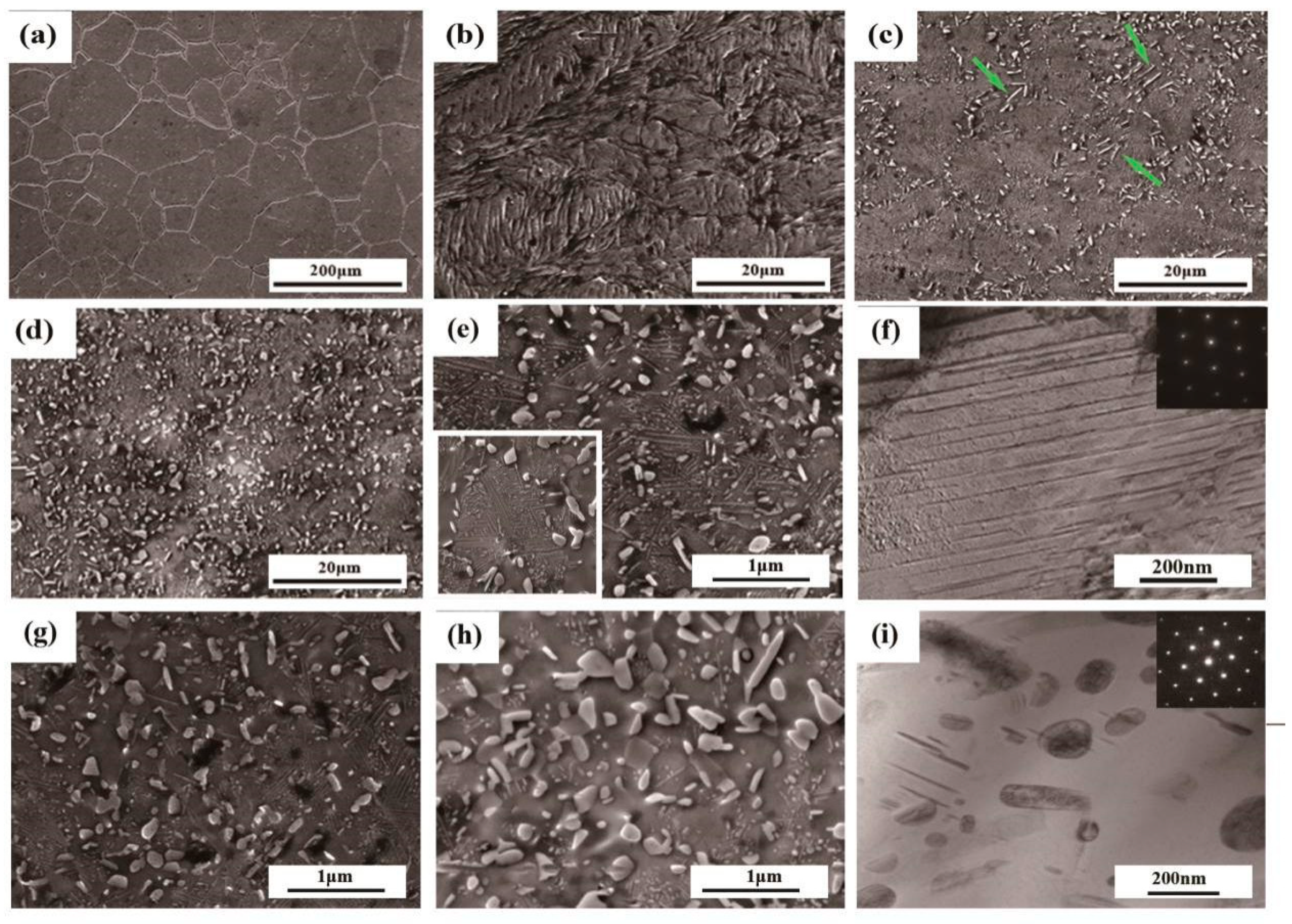 Entropy 21 00389 g002