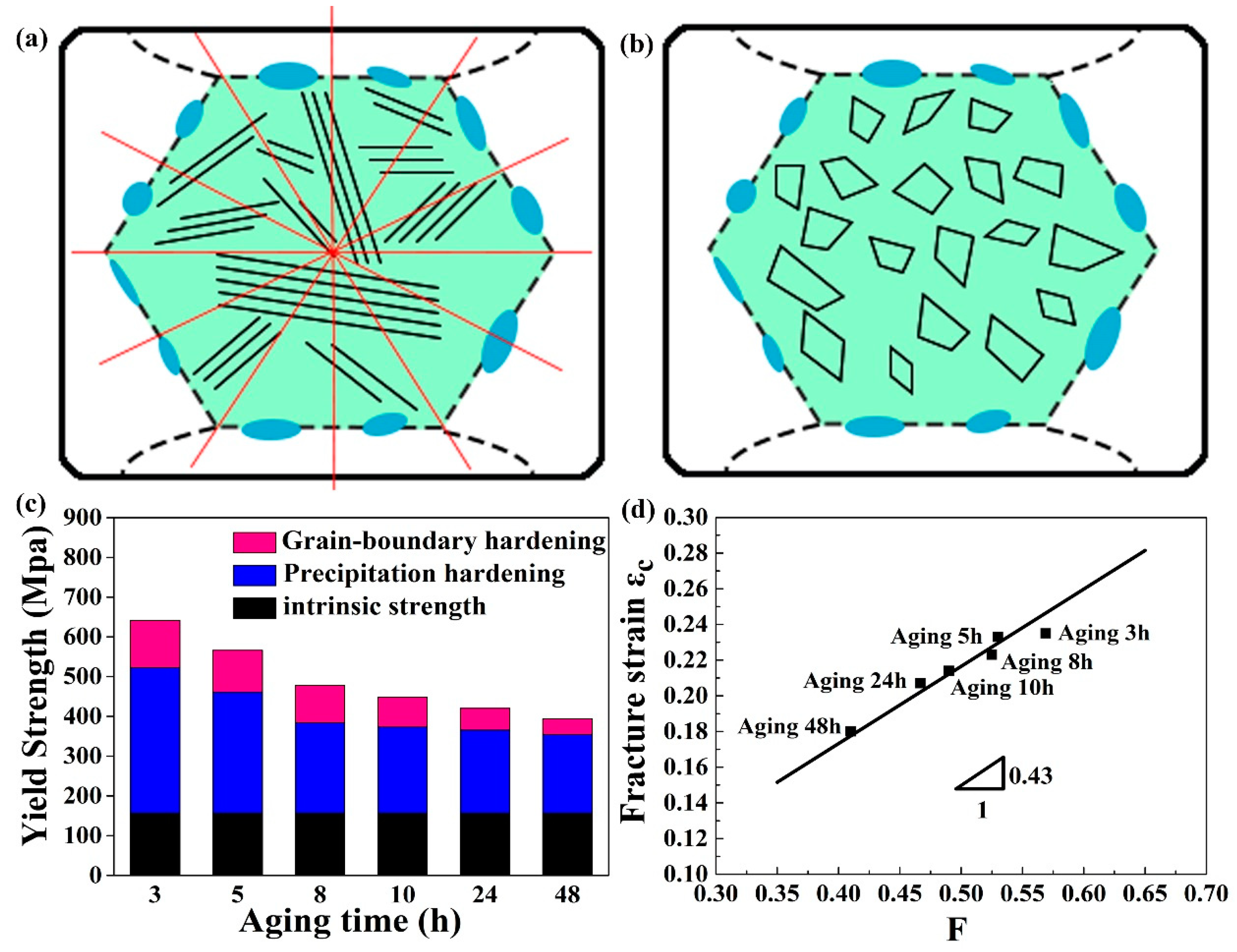Entropy 21 00389 g005