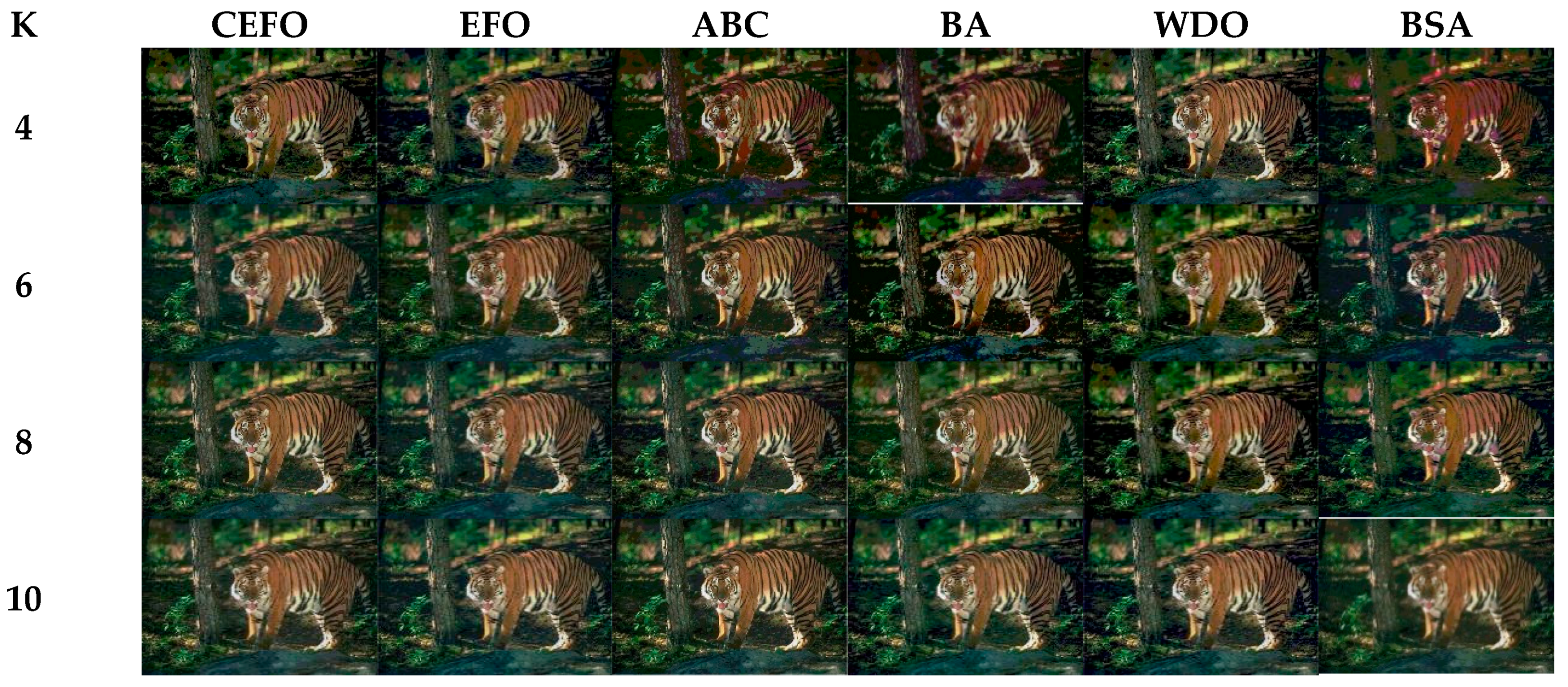 Entropy 21 00398 g007