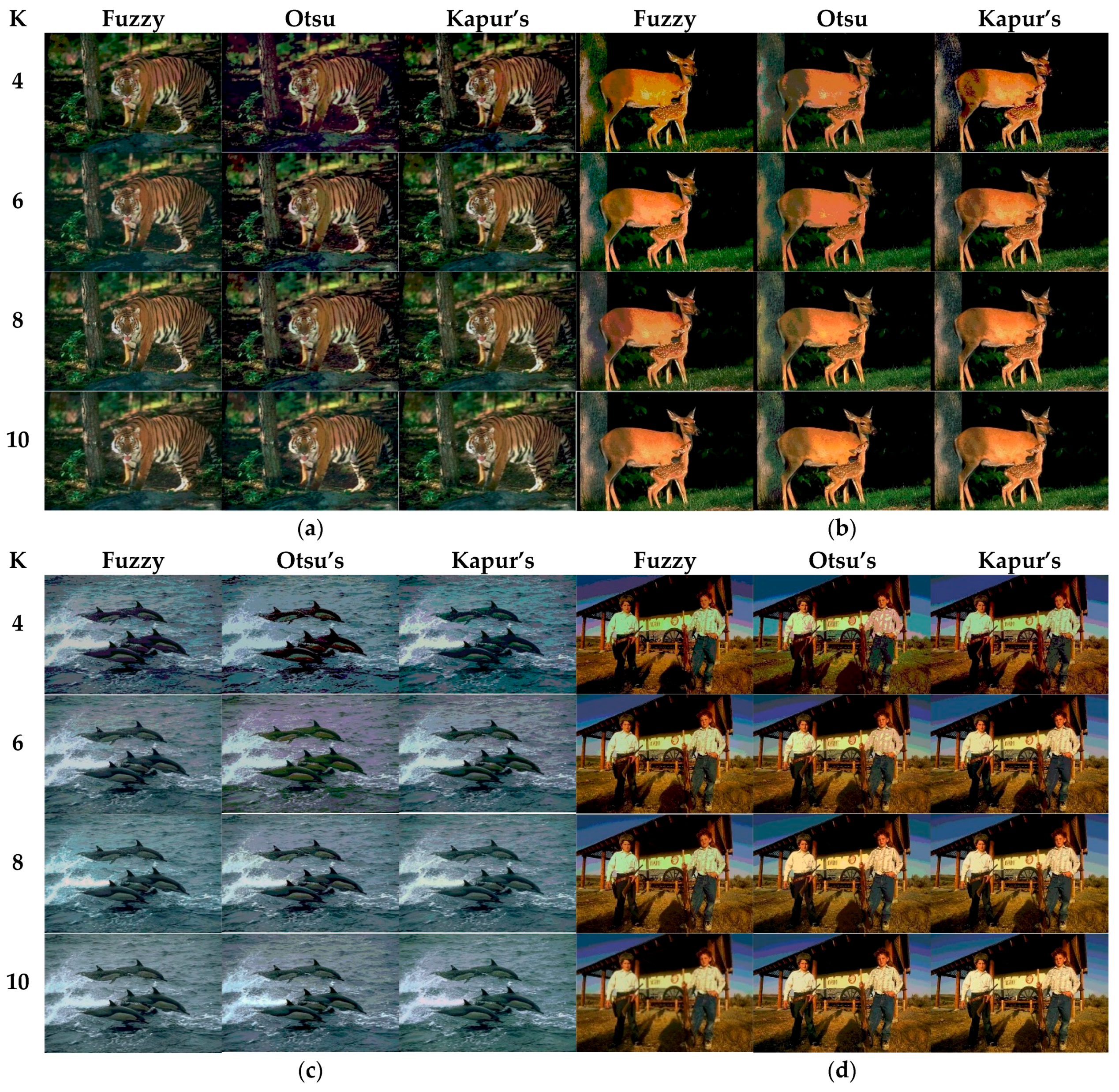 Entropy 21 00398 g022a