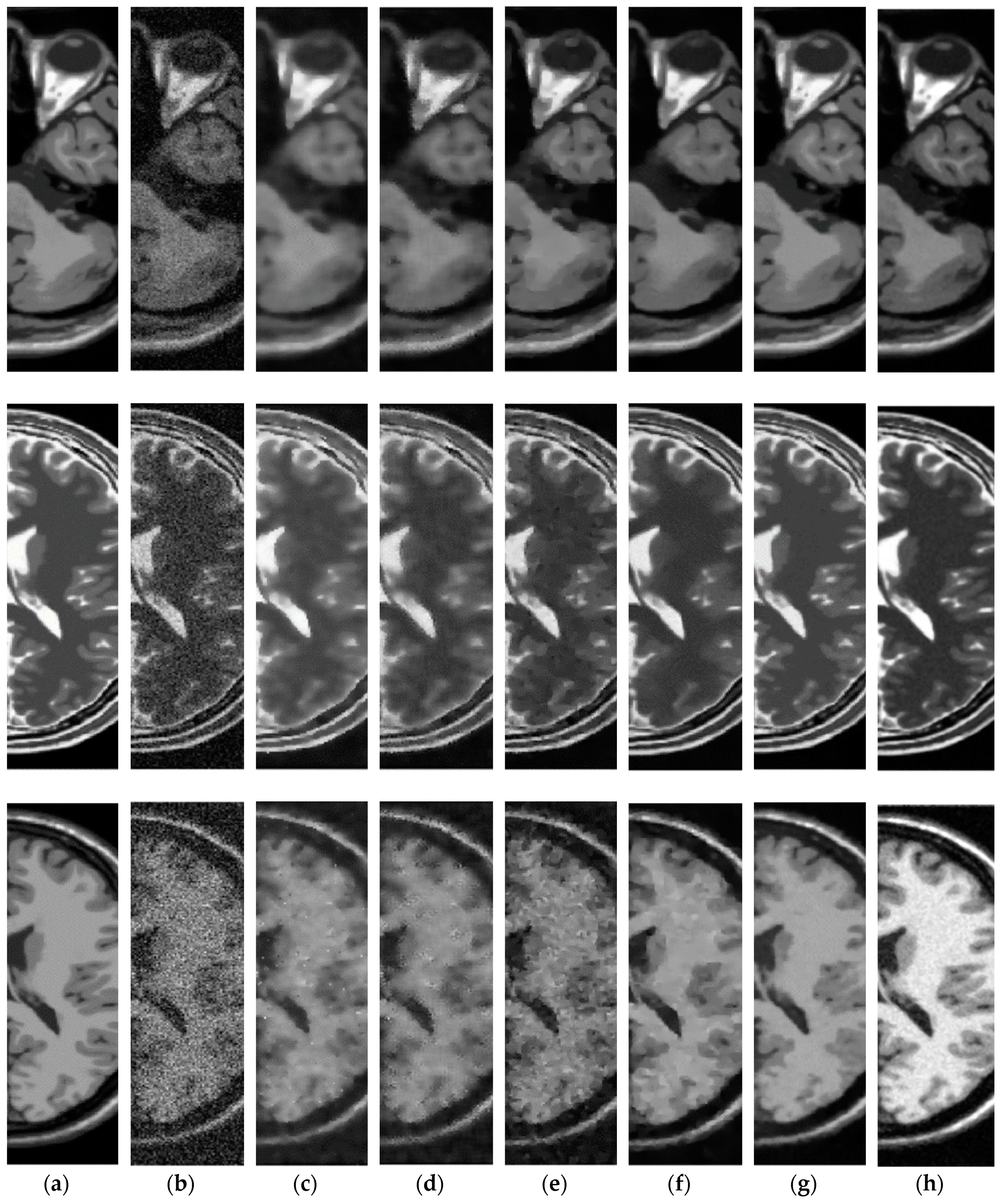 Entropy 21 00401 g009