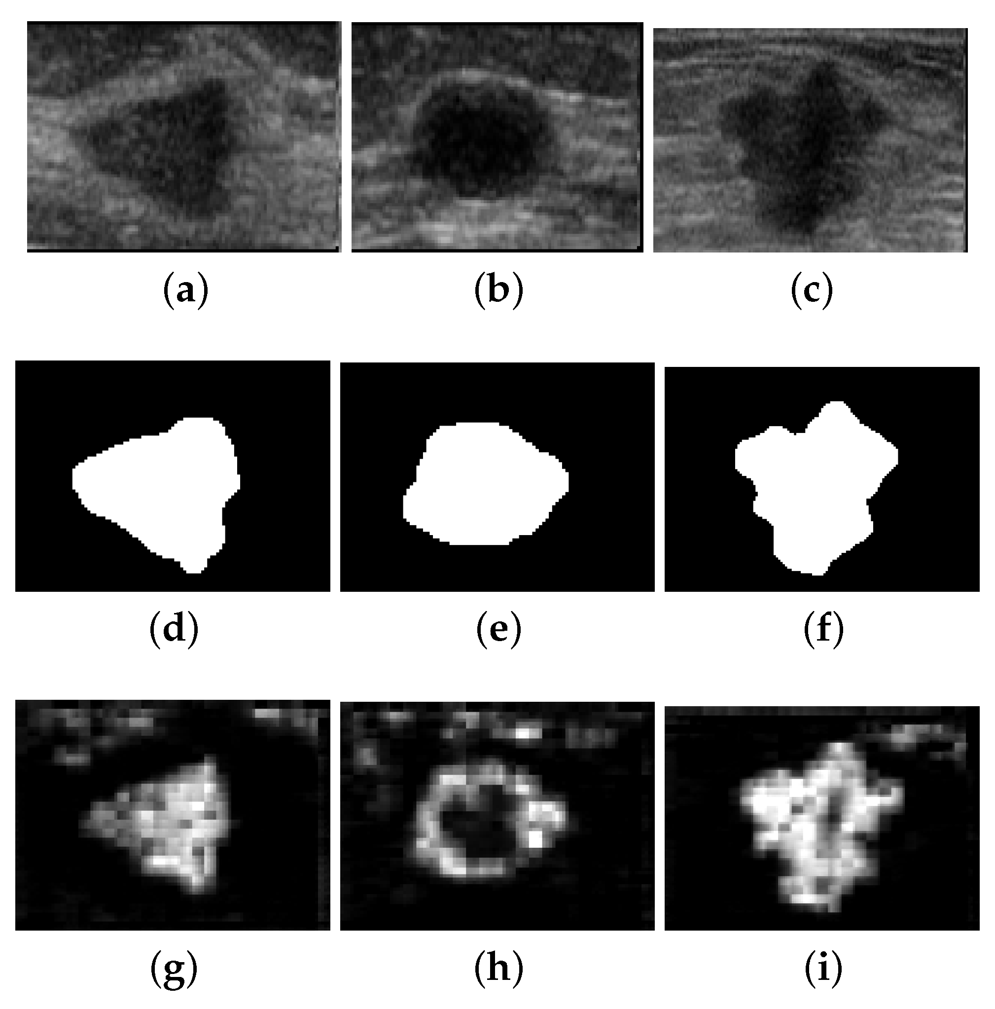 Entropy 21 00430 g012