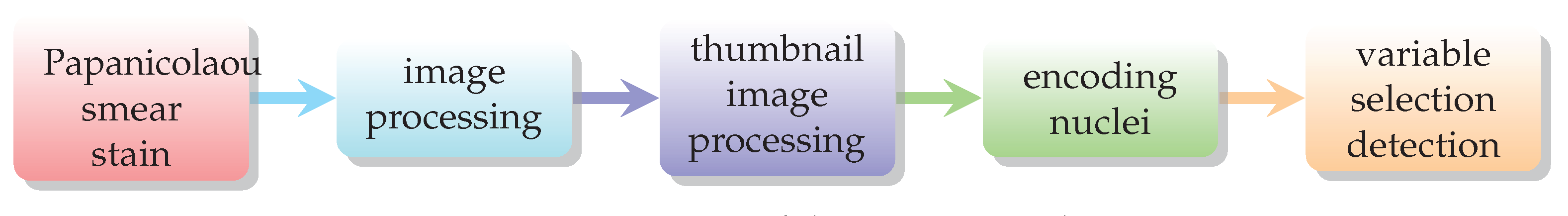 Entropy 21 00440 g005