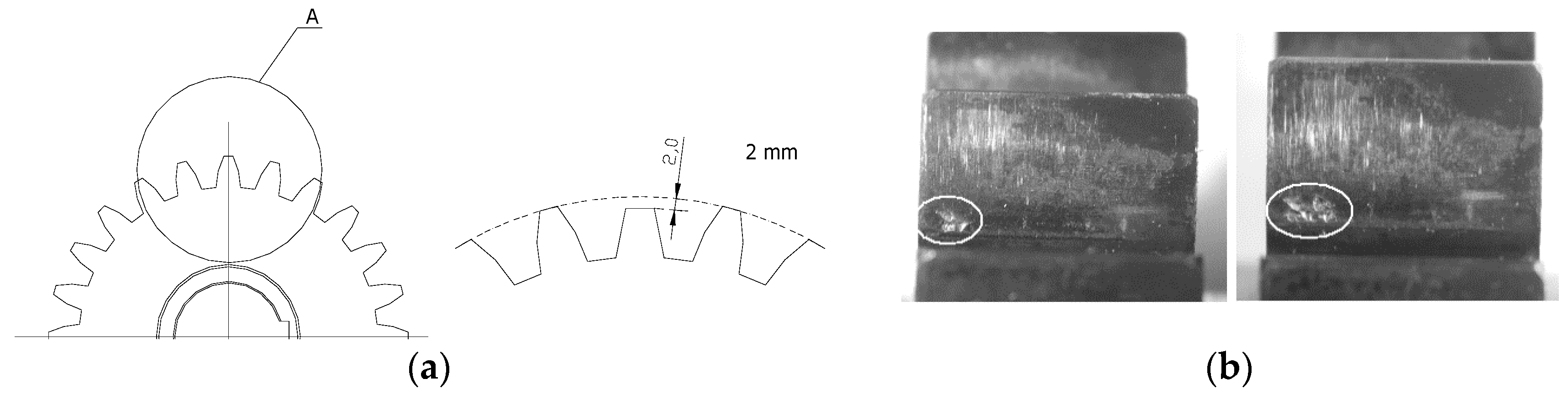 Entropy 21 00441 g004