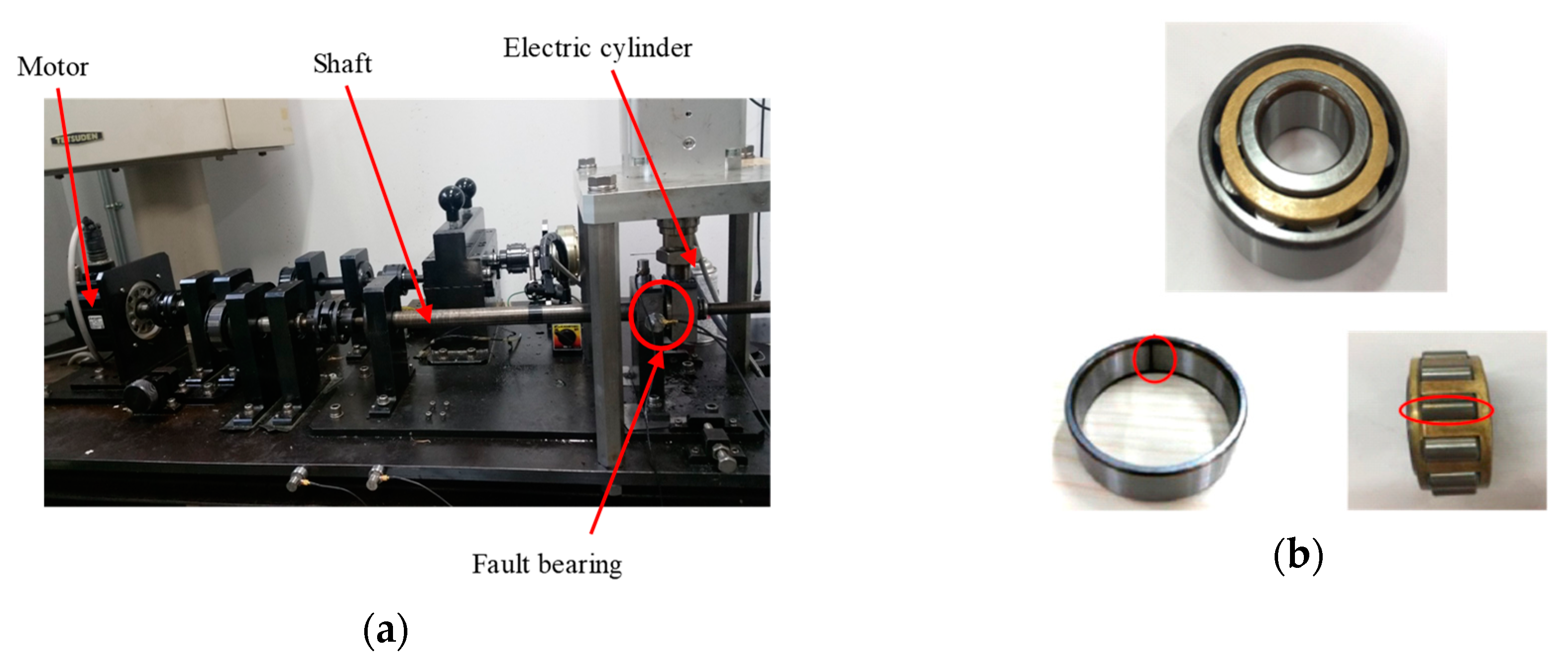 Entropy 21 00445 g008