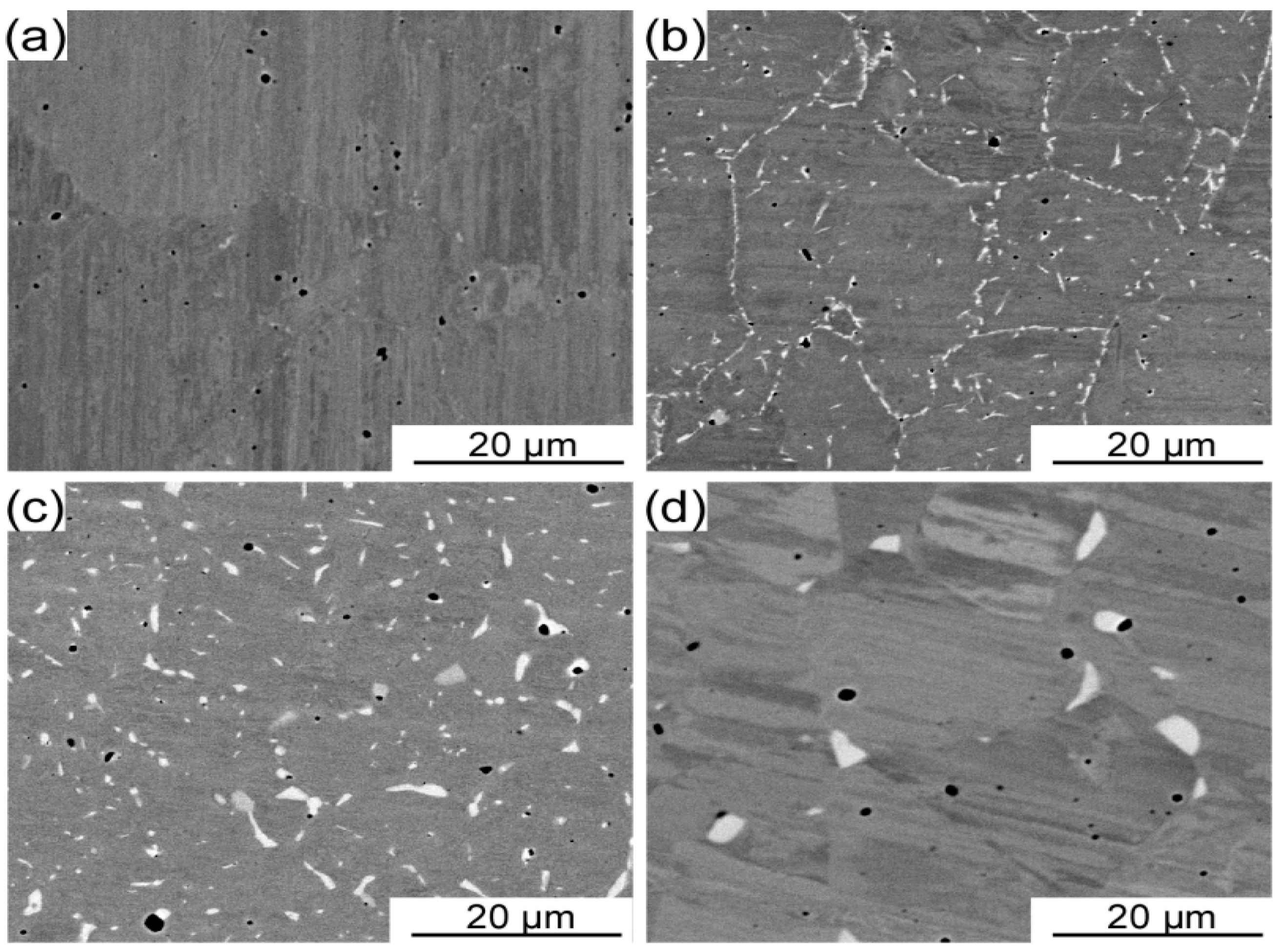 Entropy 21 00448 g002