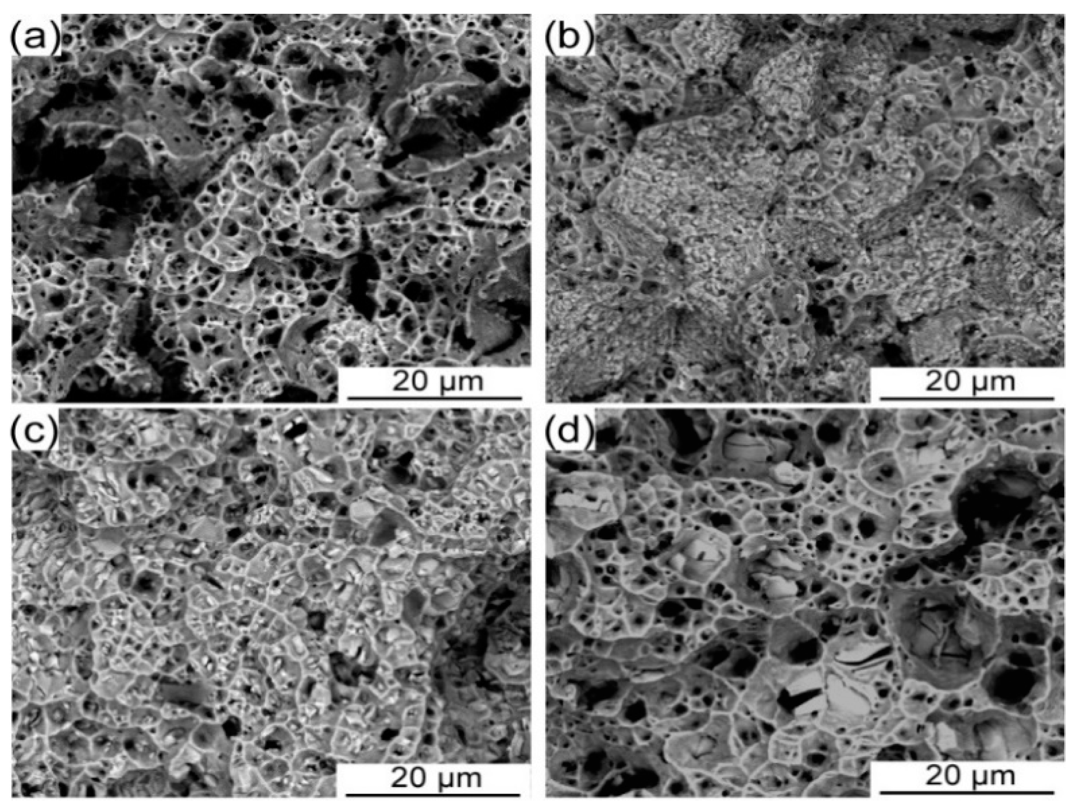 Entropy 21 00448 g008