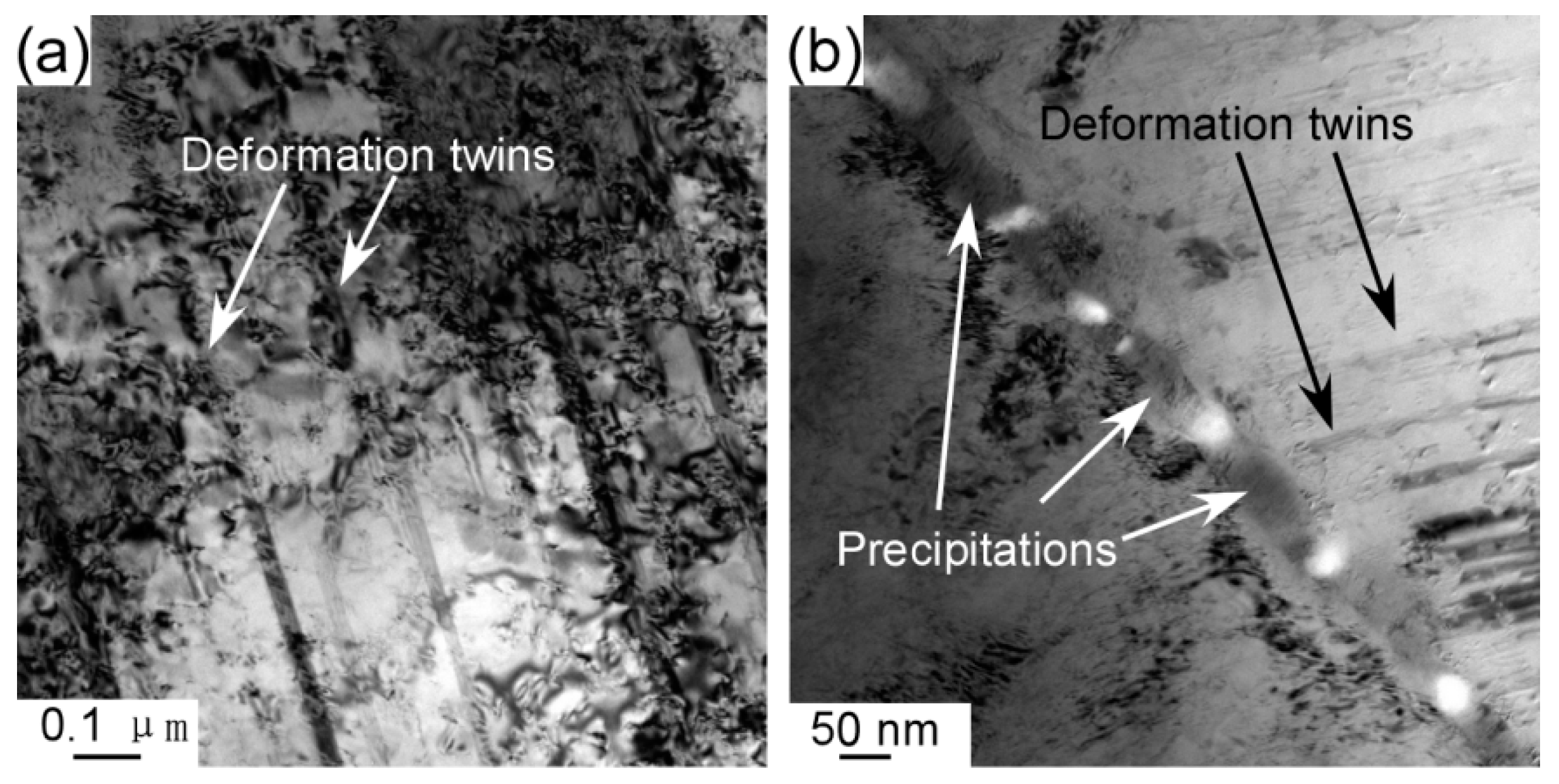 Entropy 21 00448 g009