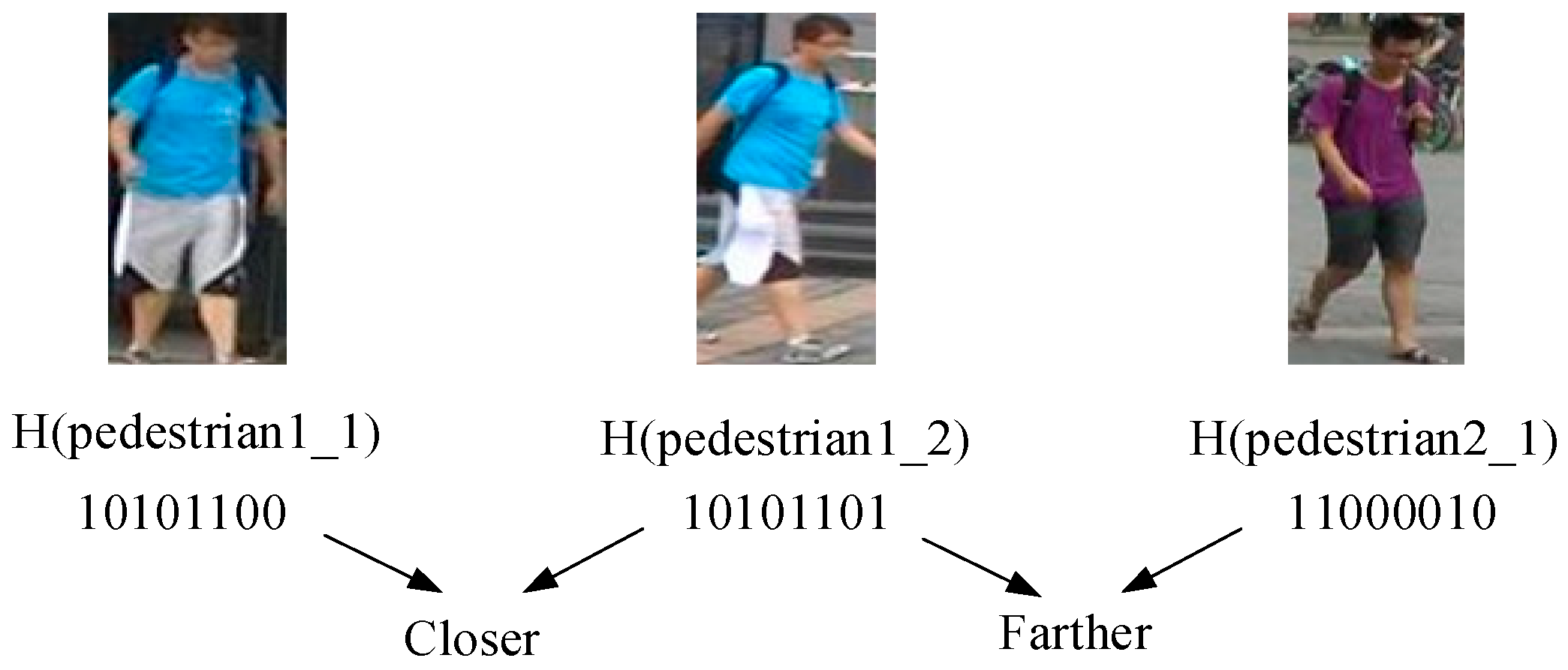 Entropy 21 00449 g002