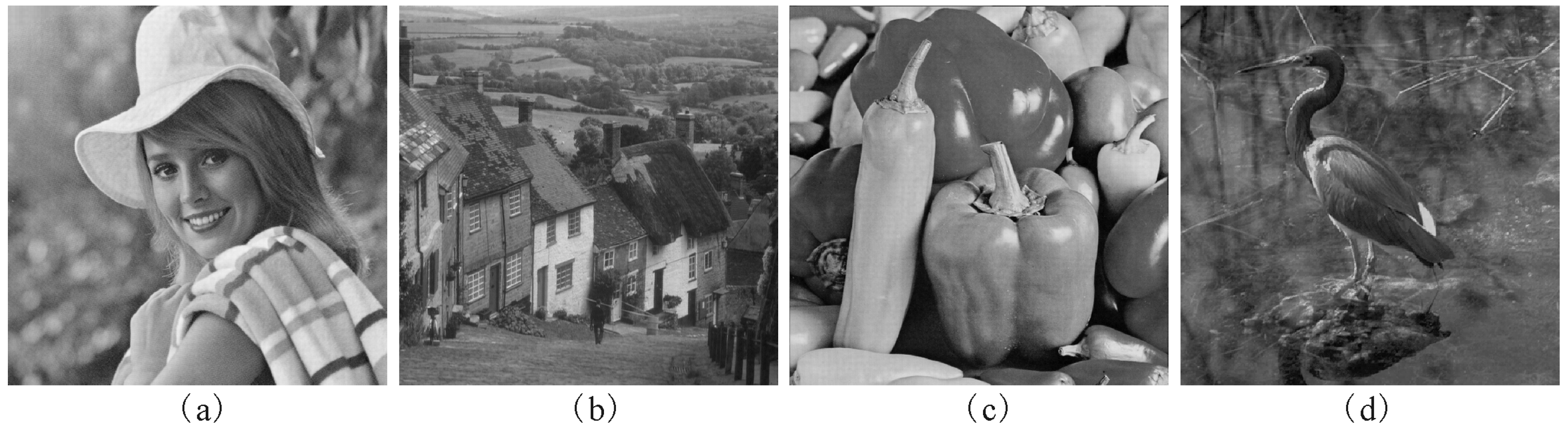 Entropy 21 00460 g003 Entropy 21 00460 g003