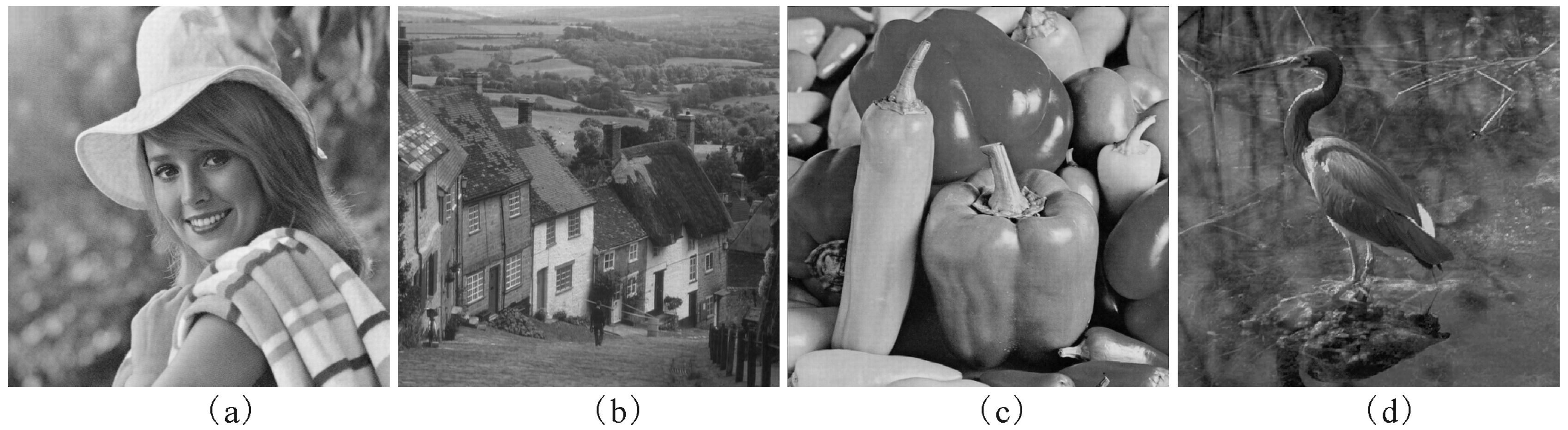 Entropy 21 00460 g004 Entropy 21 00460 g004