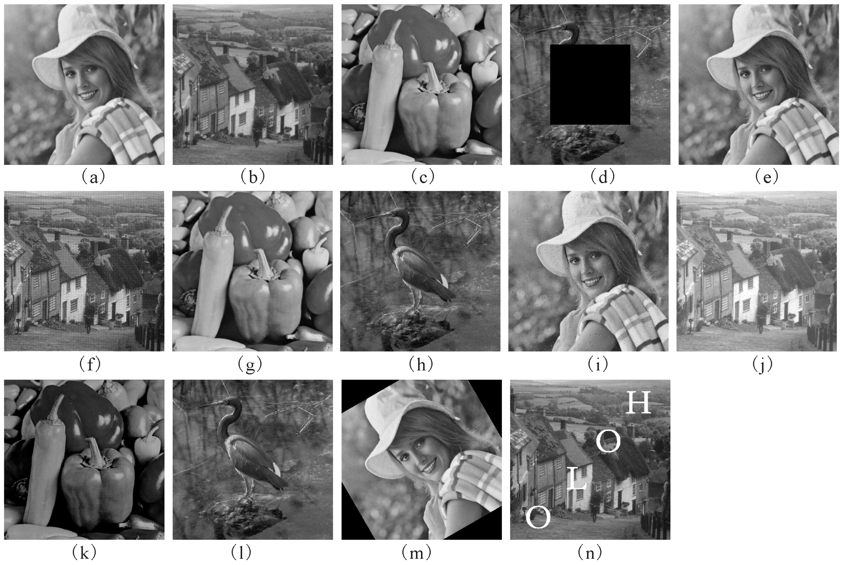 Entropy 21 00460 g005 Entropy 21 00460 g005