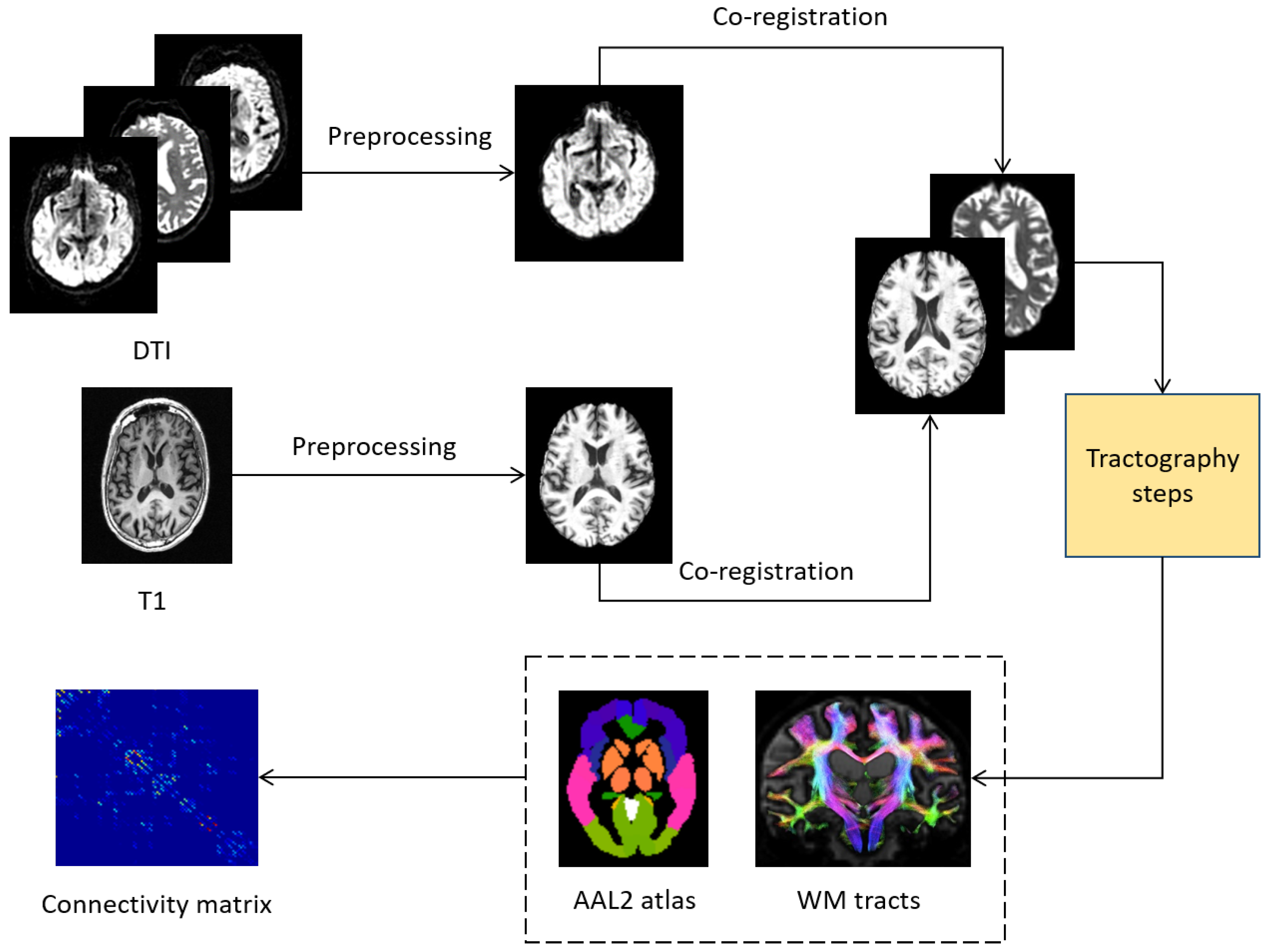 Entropy 21 00475 g001