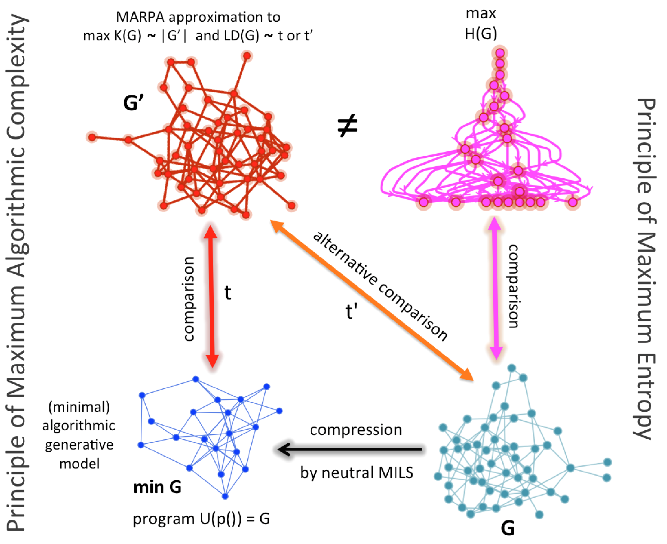 Entropy 21 00560 g003 Entropy 21 00560 g003