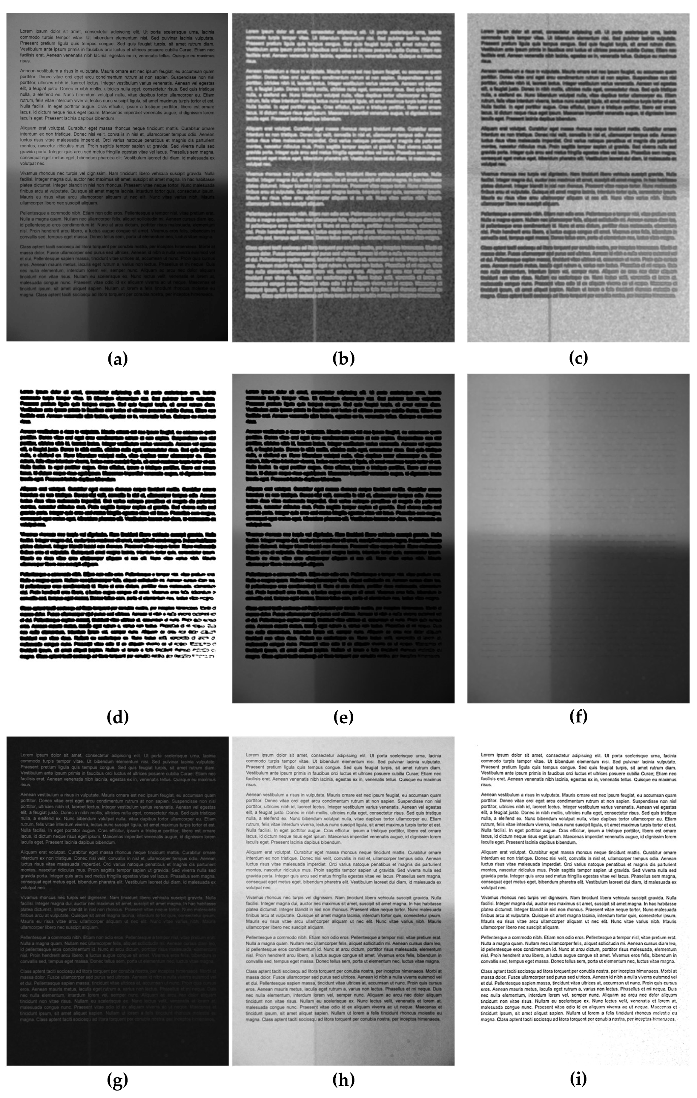 Entropy 21 00562 g002