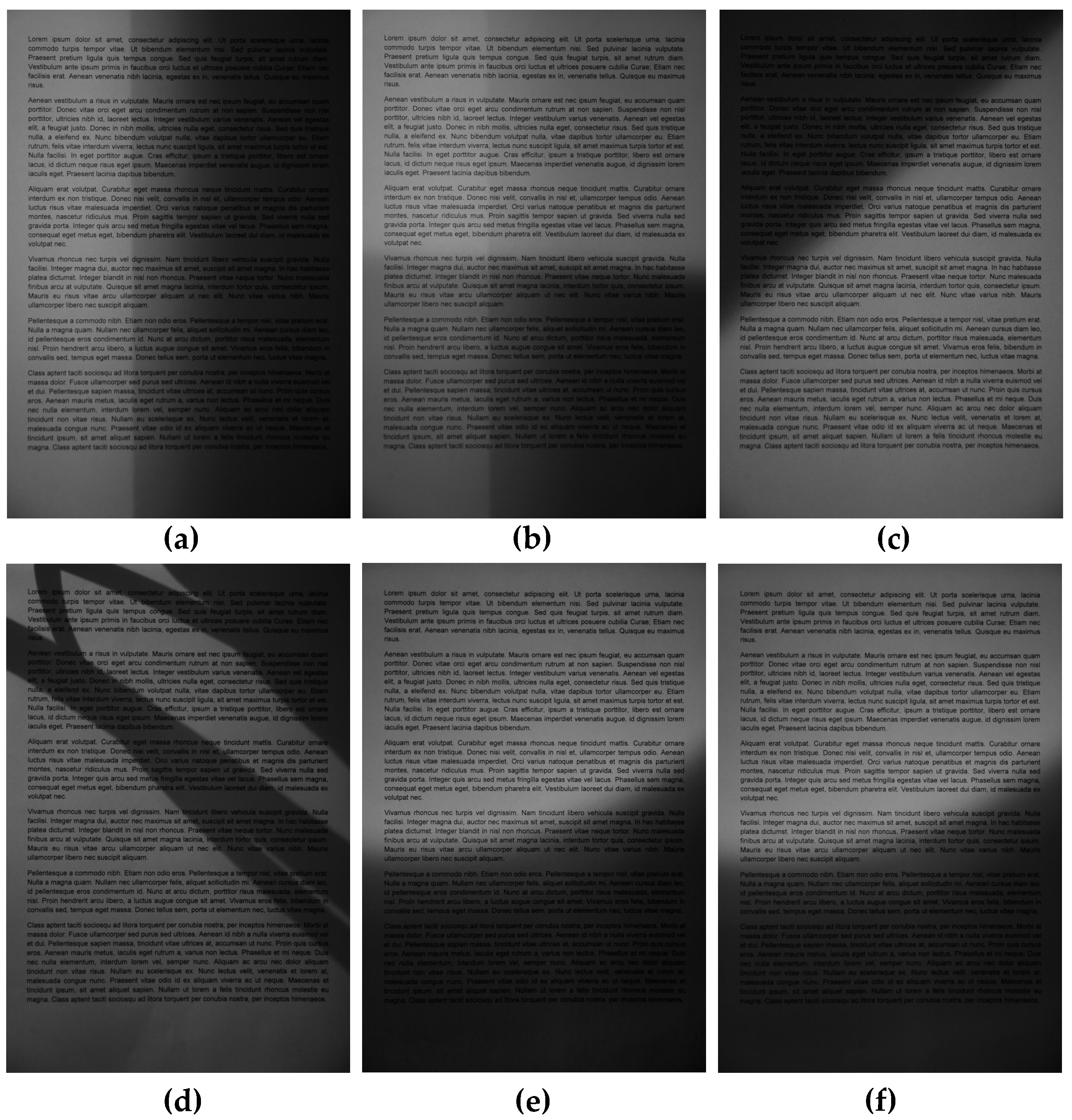 Entropy 21 00562 g003