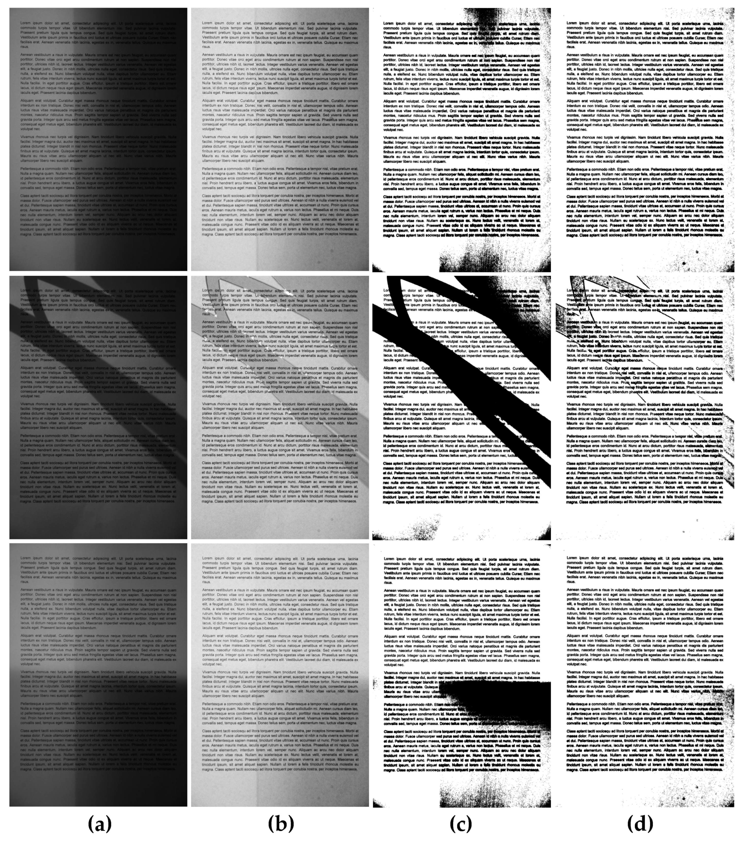 Entropy 21 00562 g007