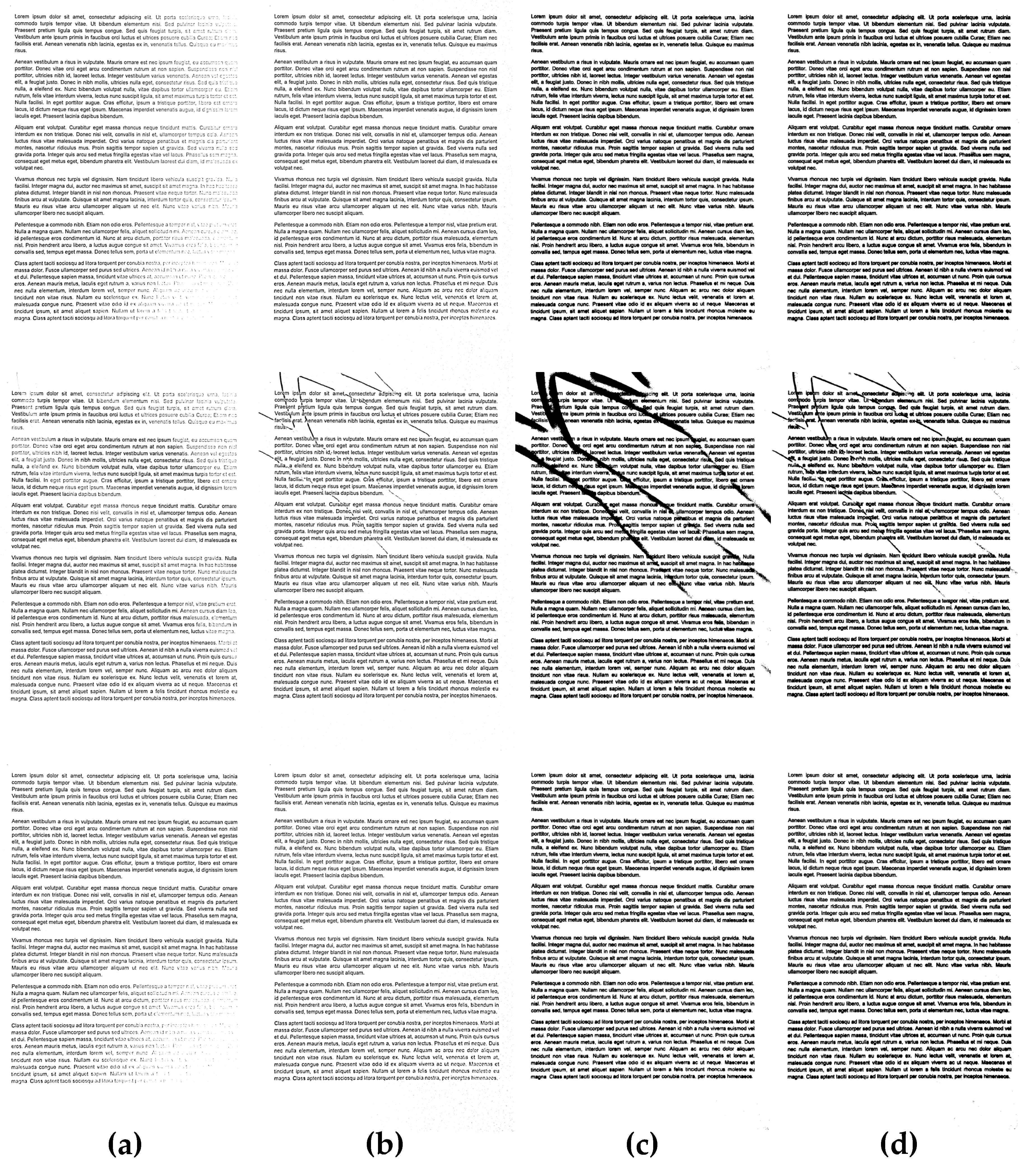 Entropy 21 00562 g008