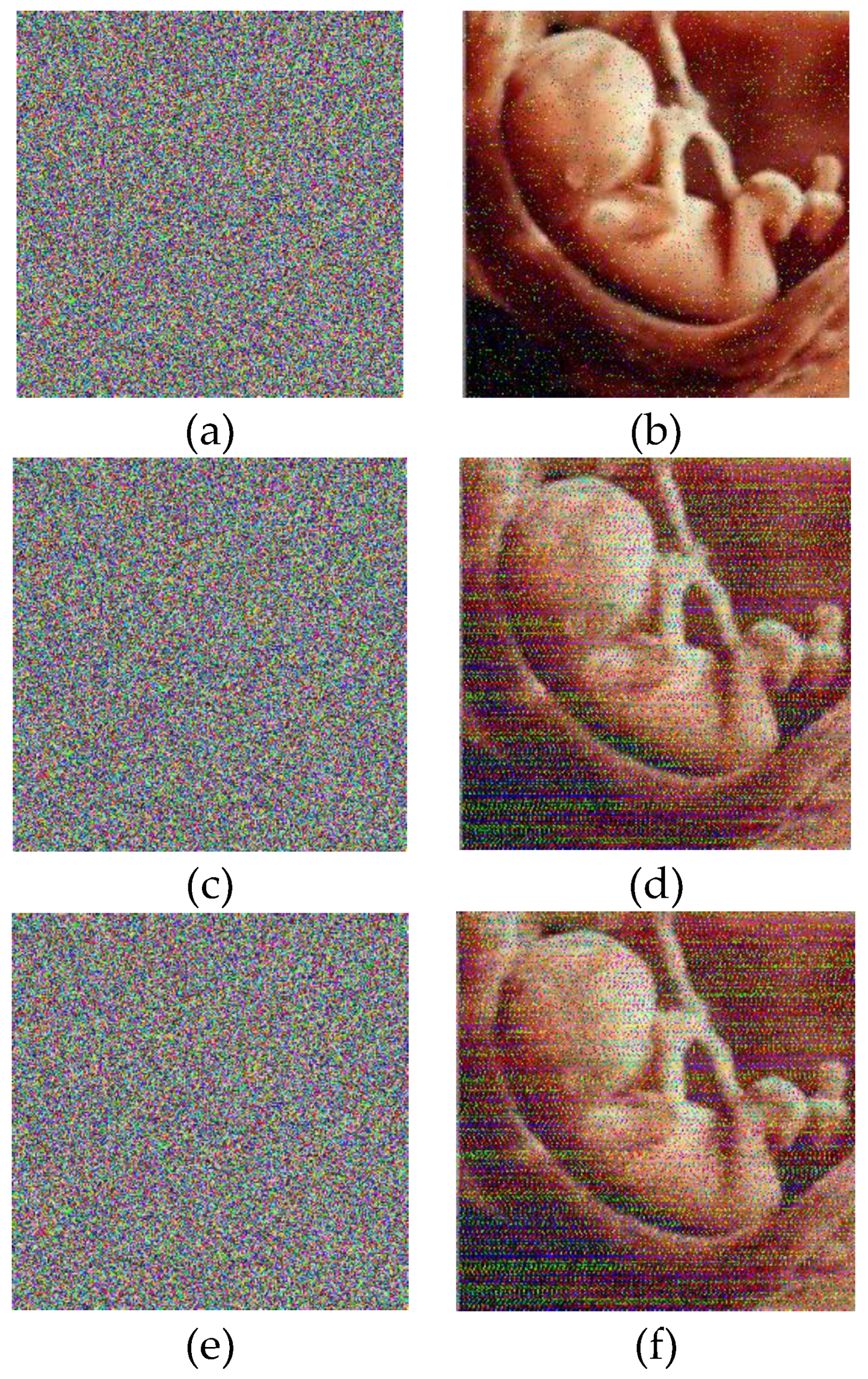 Entropy 21 00577 g009