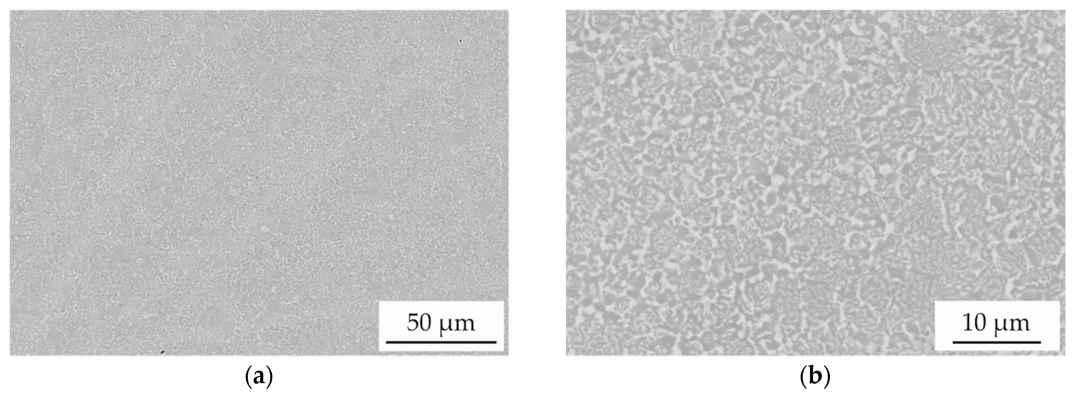 Entropy 21 00582 g002