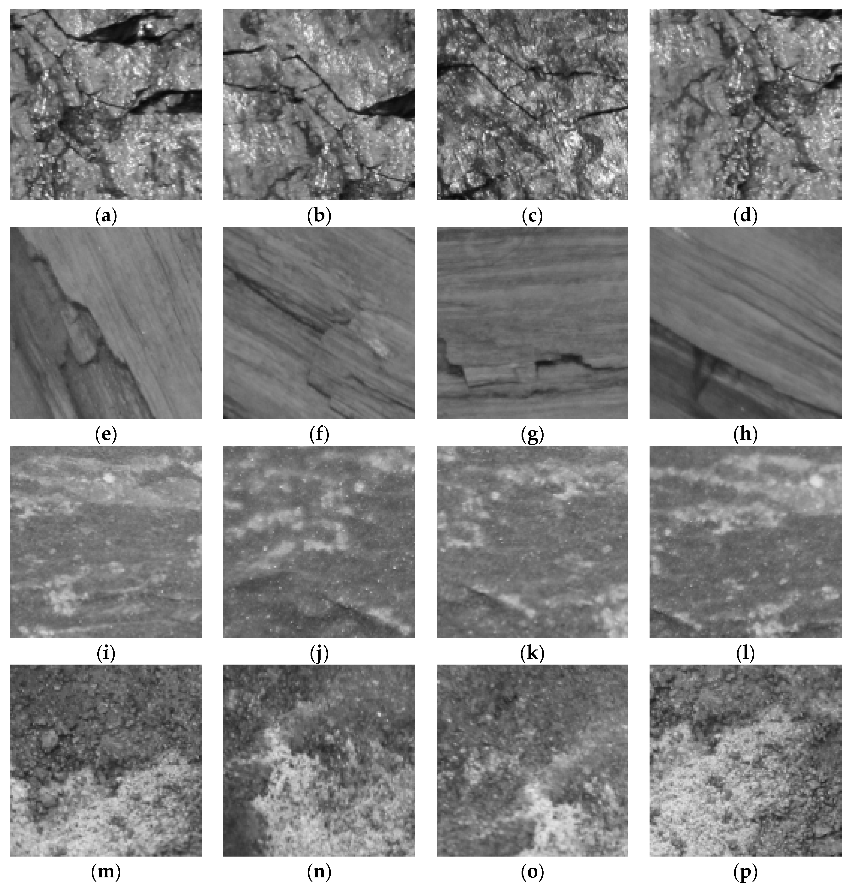 Entropy 21 00622 g005