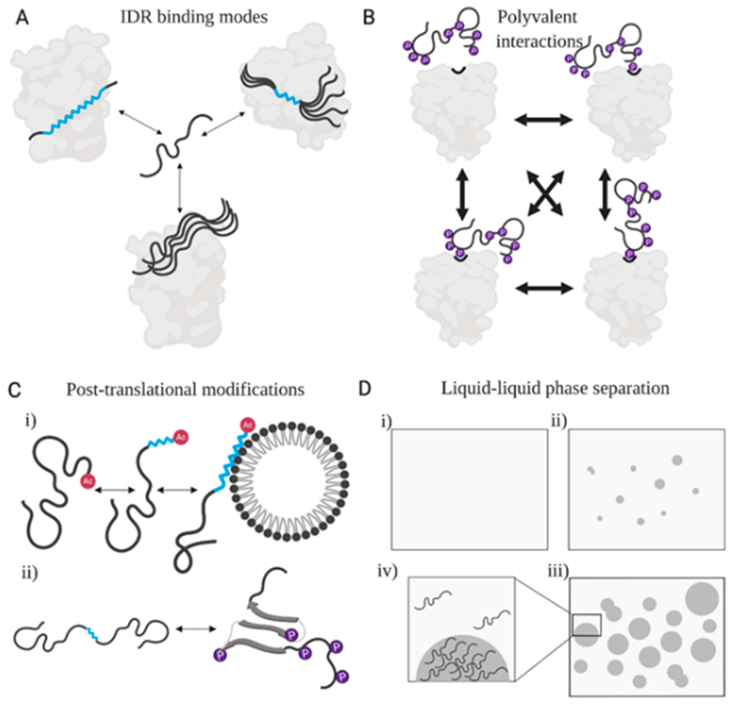 Entropy 21 00662 g004
