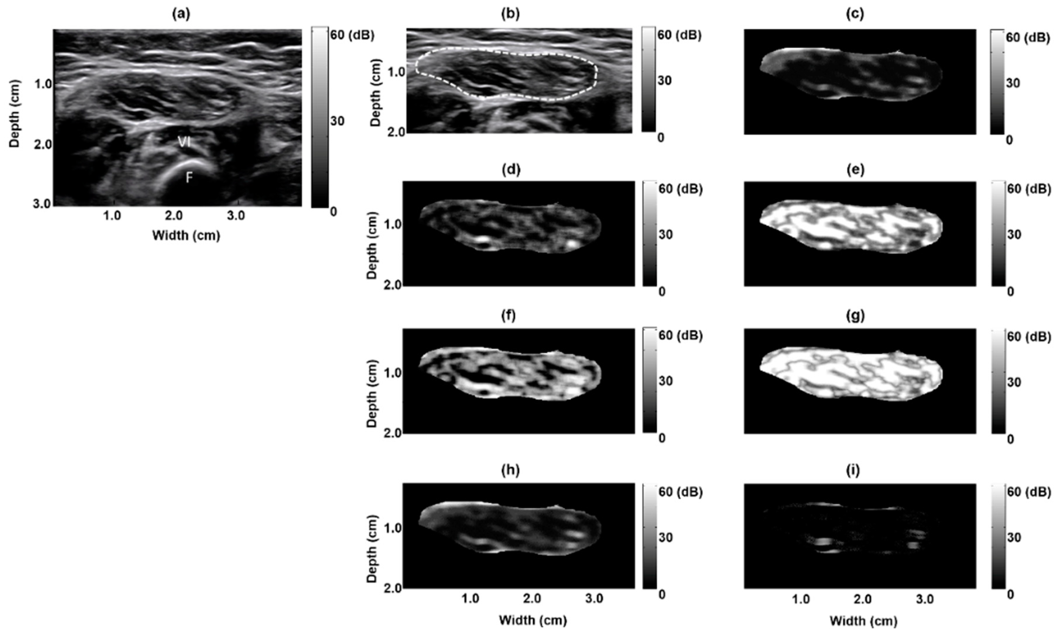 Entropy 21 00714 g001