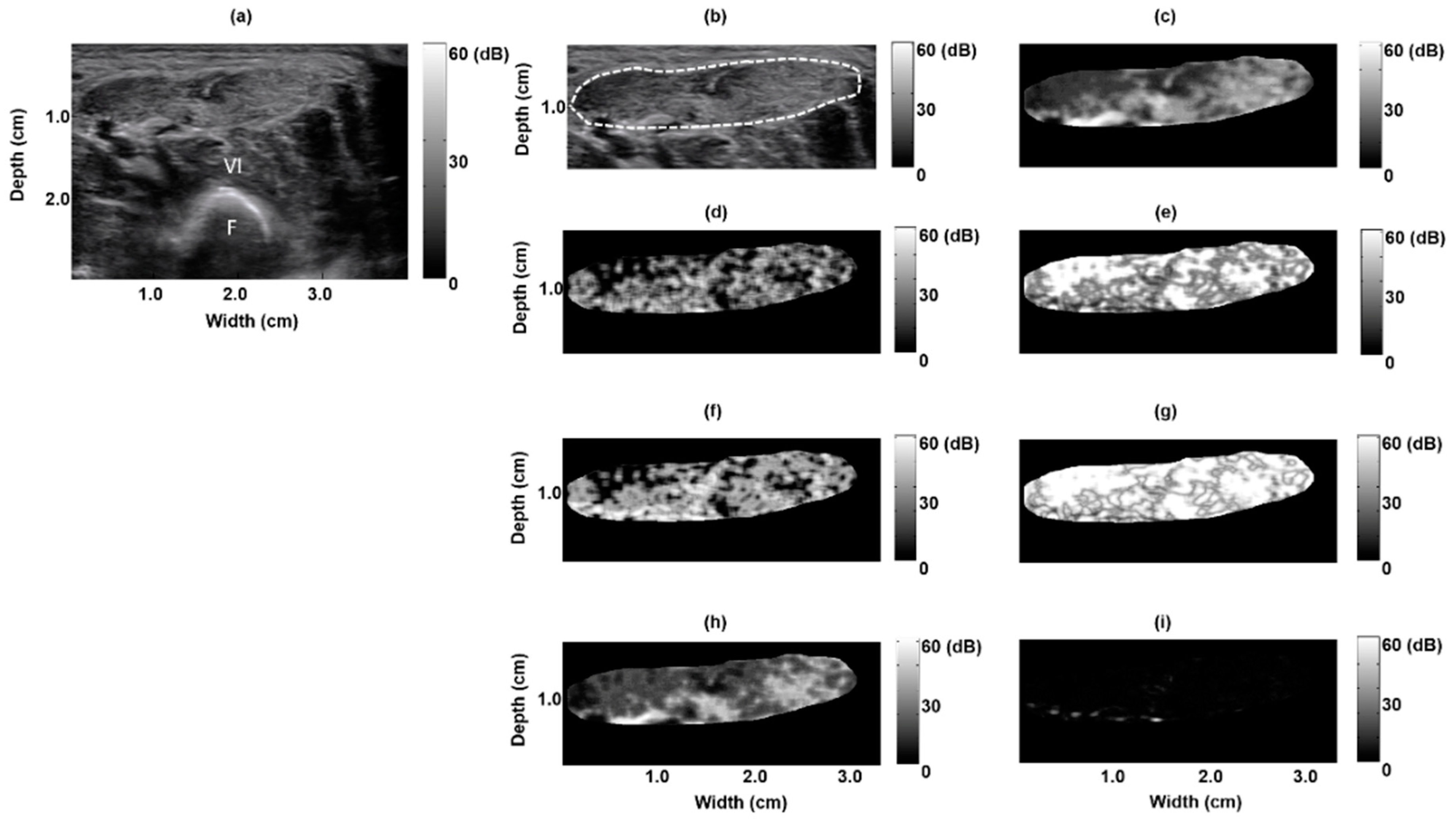Entropy 21 00714 g002