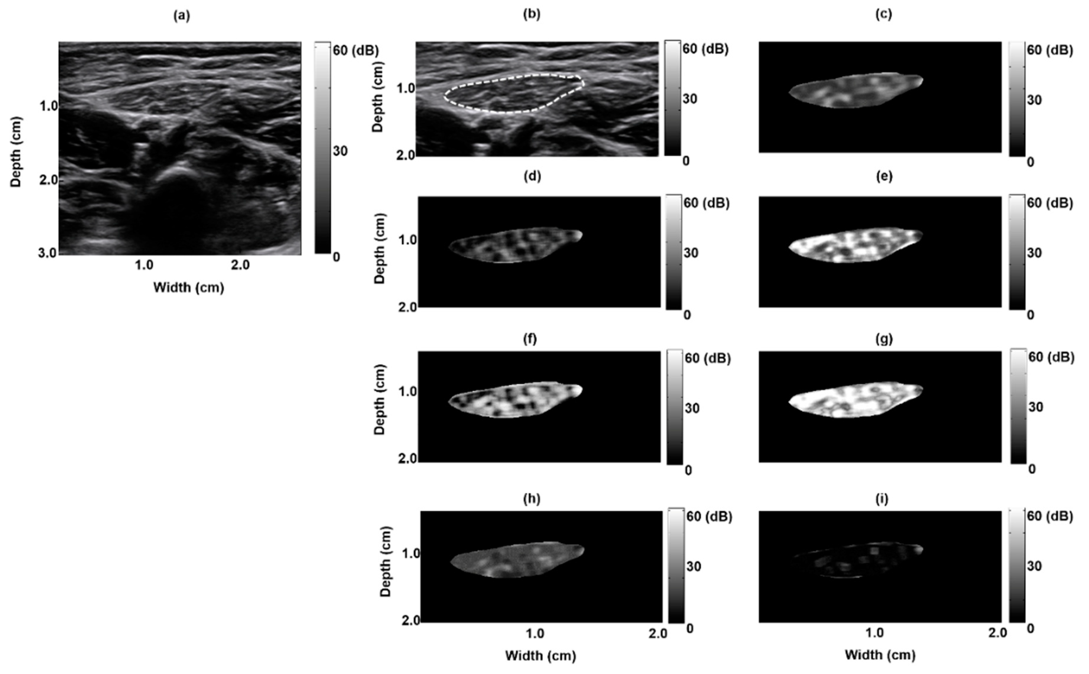 Entropy 21 00714 g003