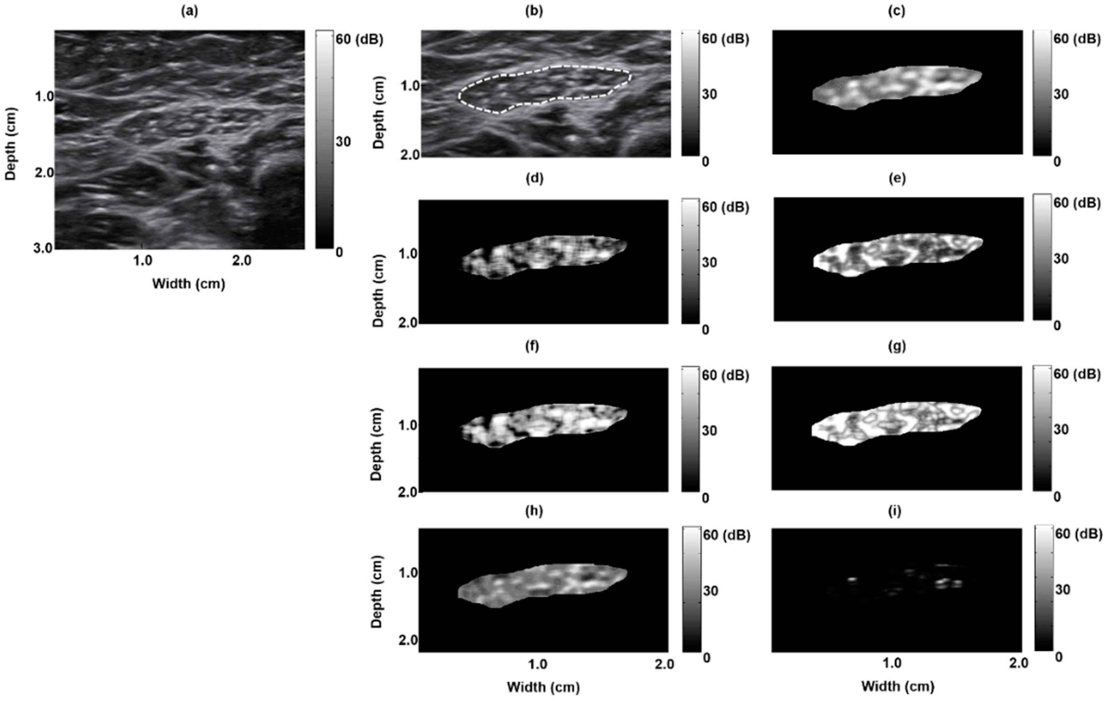 Entropy 21 00714 g004