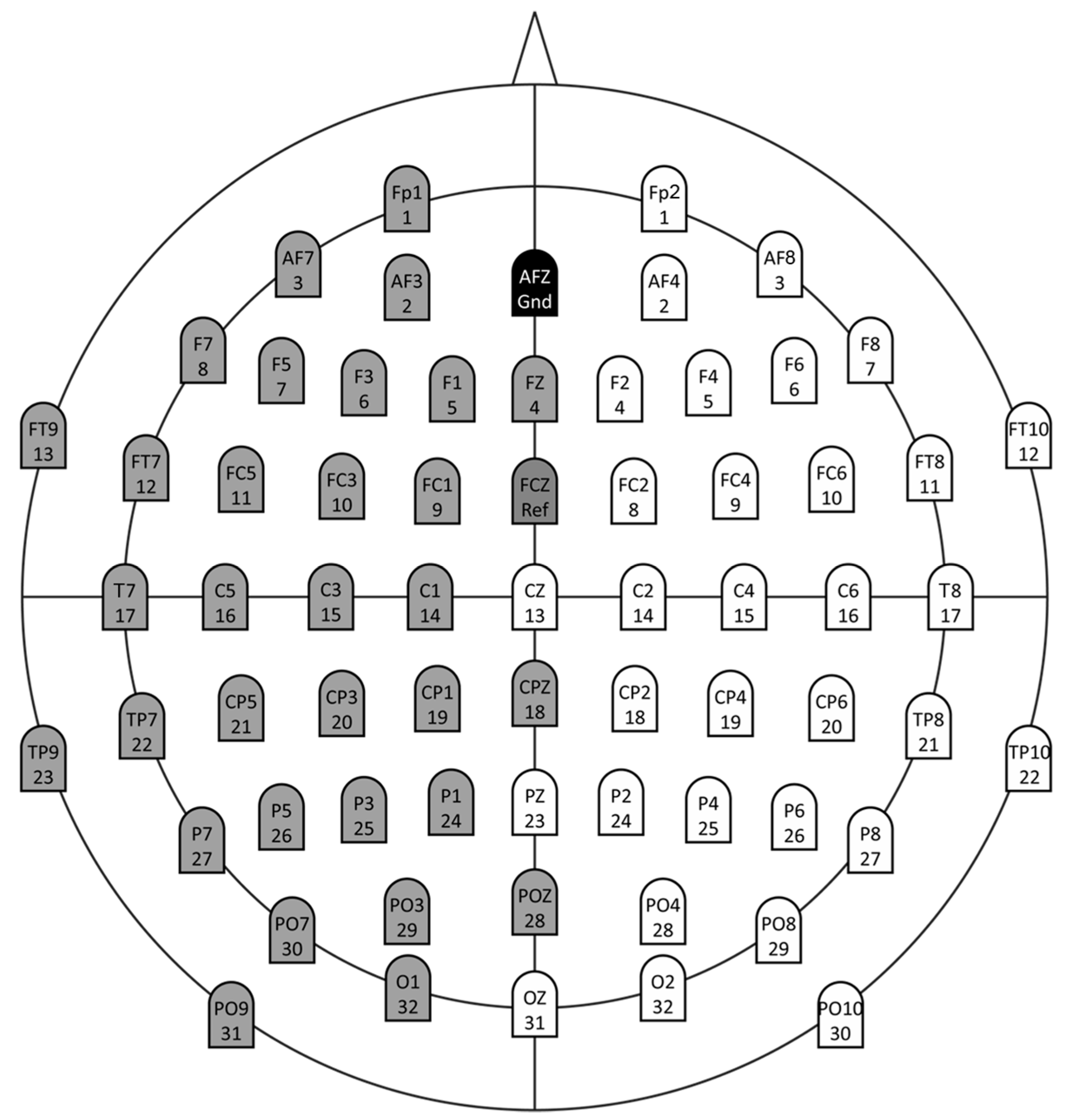 Entropy 21 00733 g002