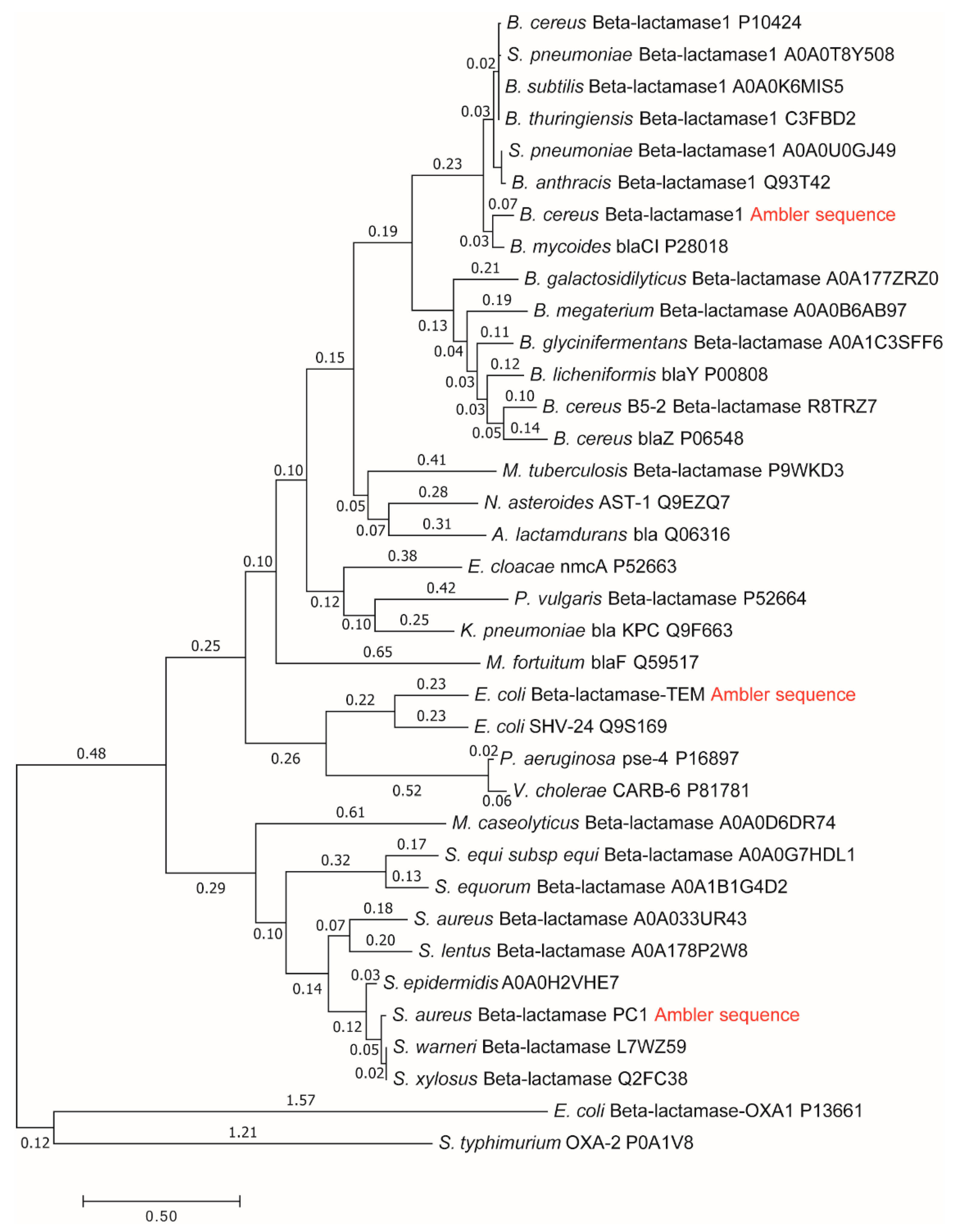 Entropy 21 00743 g002