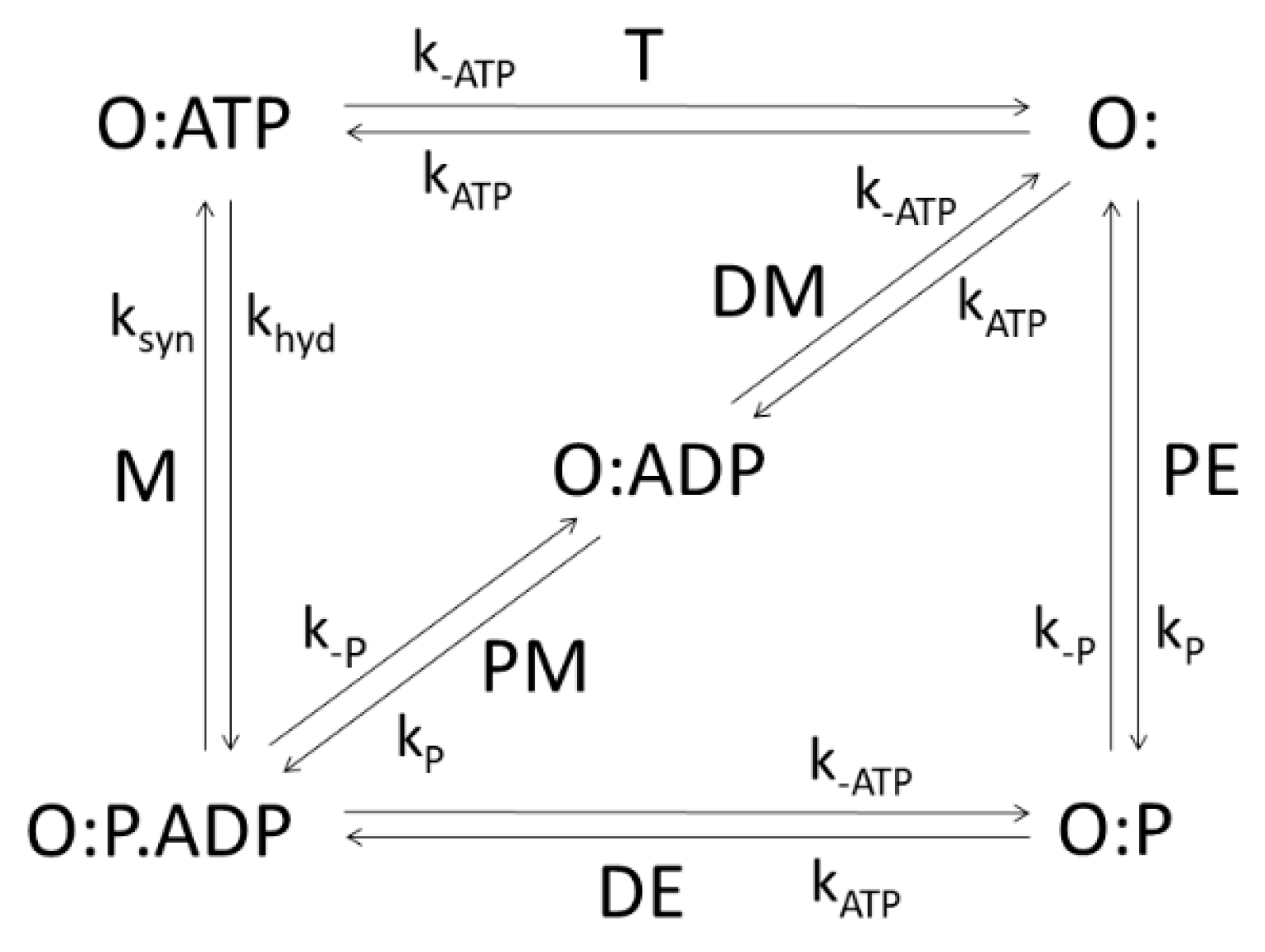 Entropy 21 00743 g005