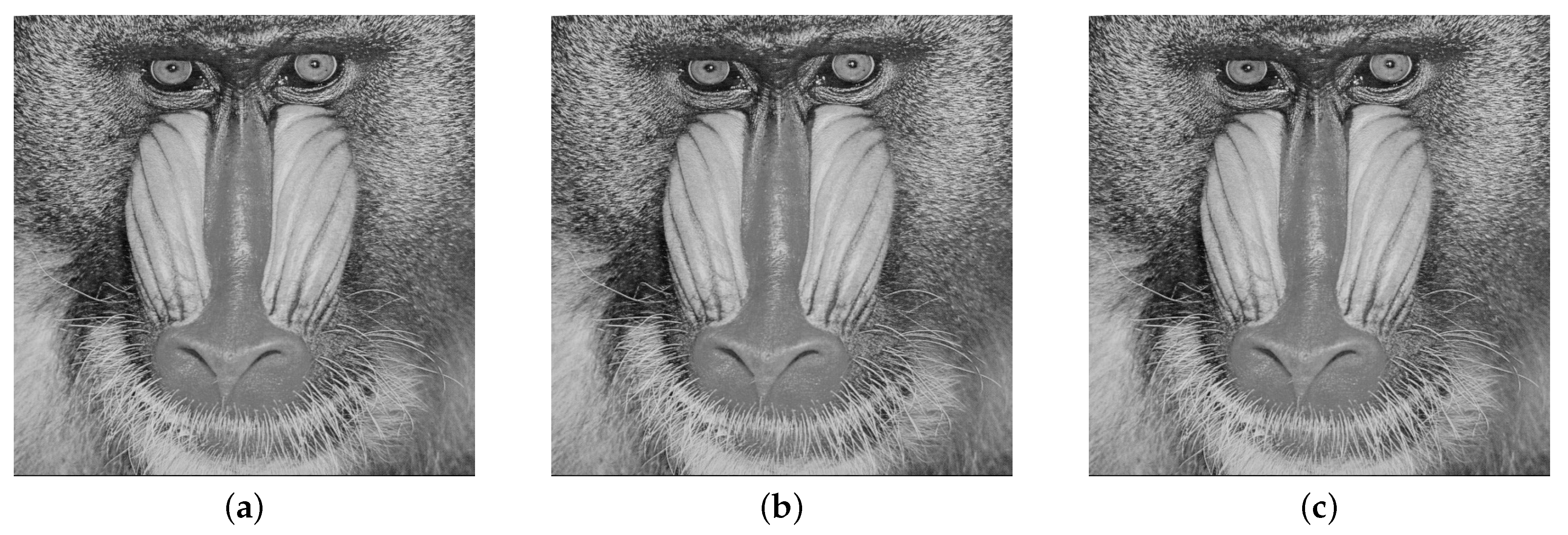 Entropy 21 00748 g009