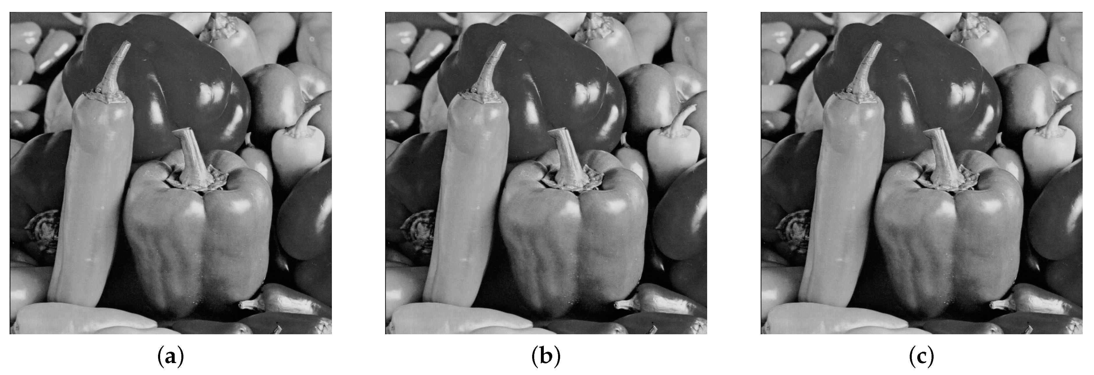 Entropy 21 00748 g010