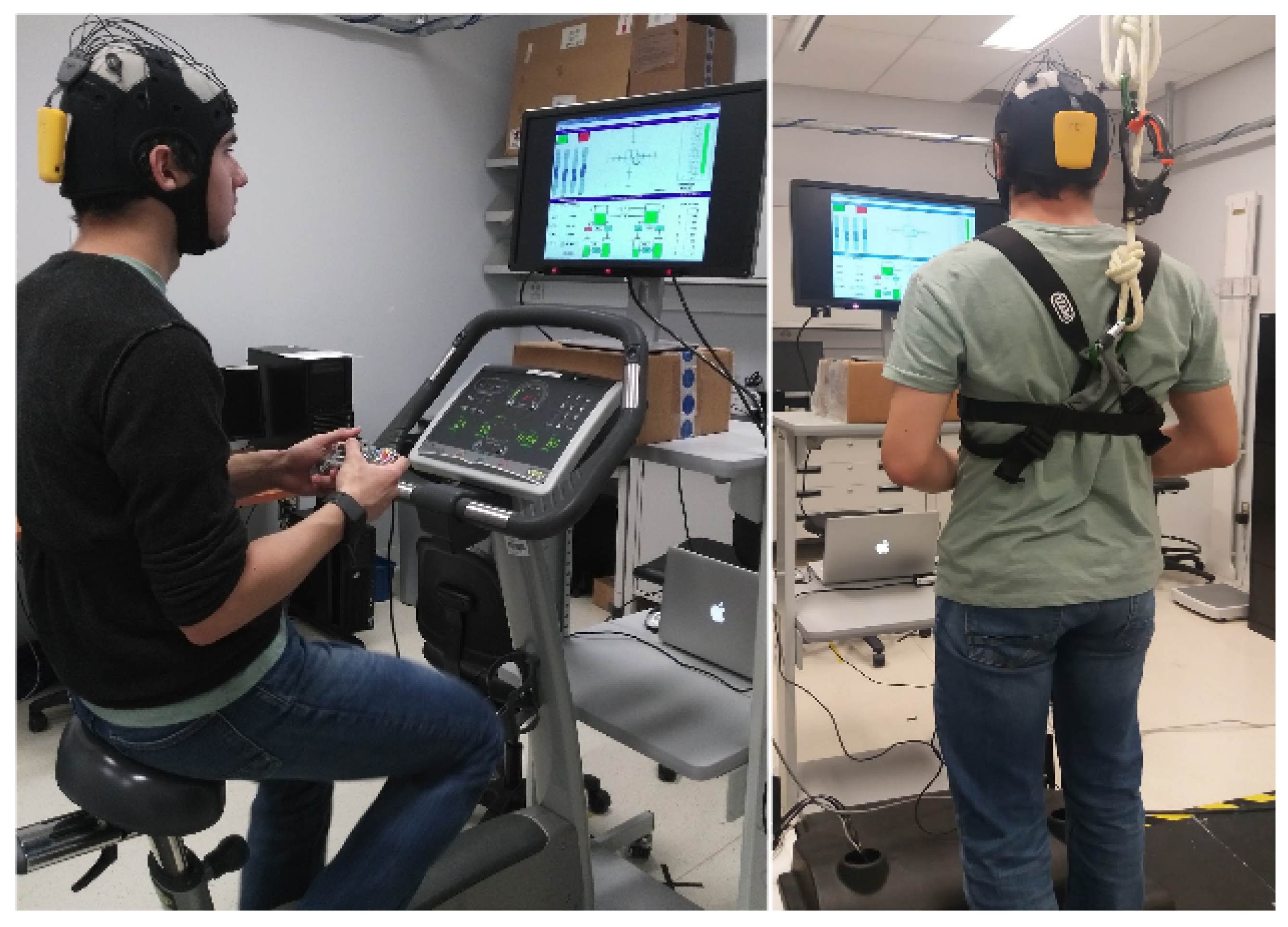 Entropy 21 00783 g001