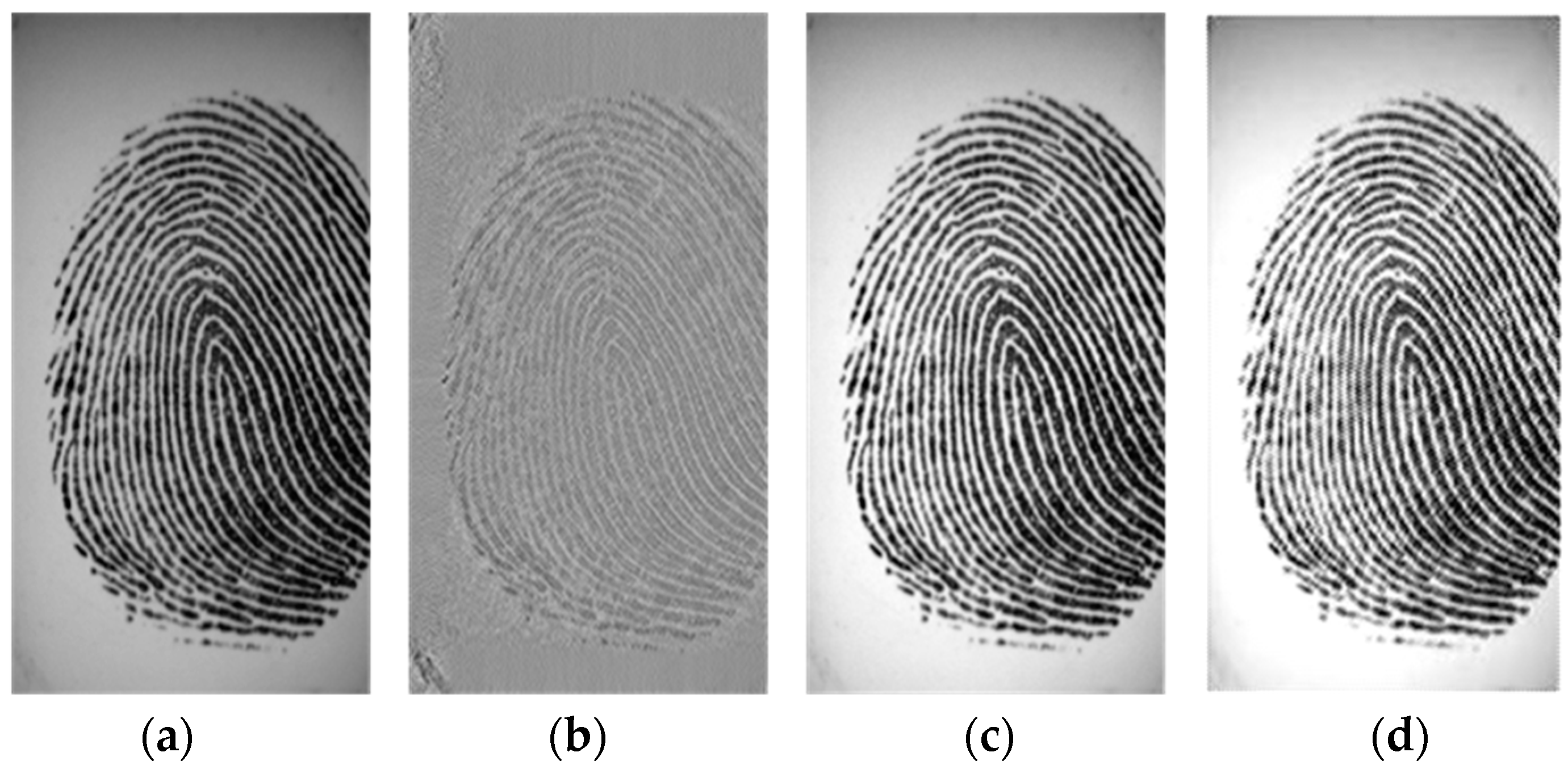 Entropy 21 00786 g002