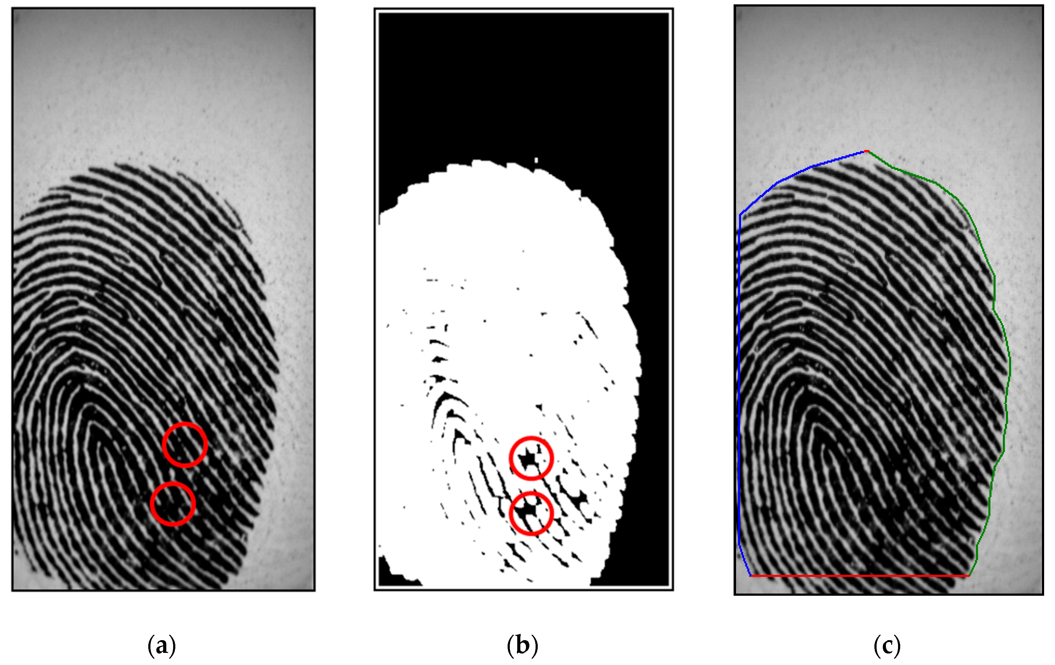 Entropy 21 00786 g003