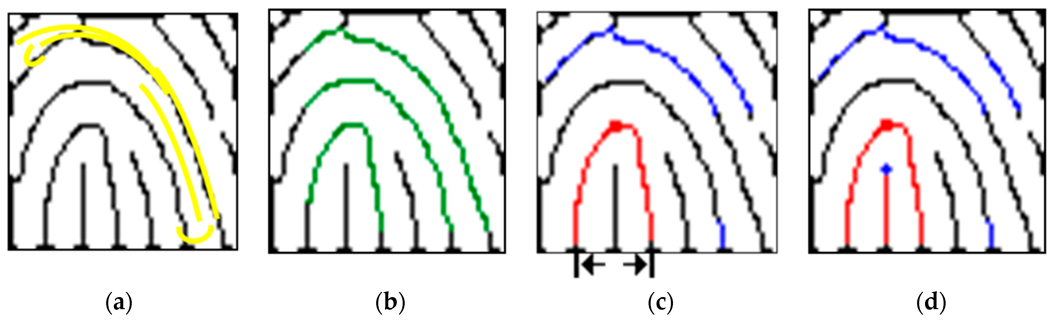 Entropy 21 00786 g007