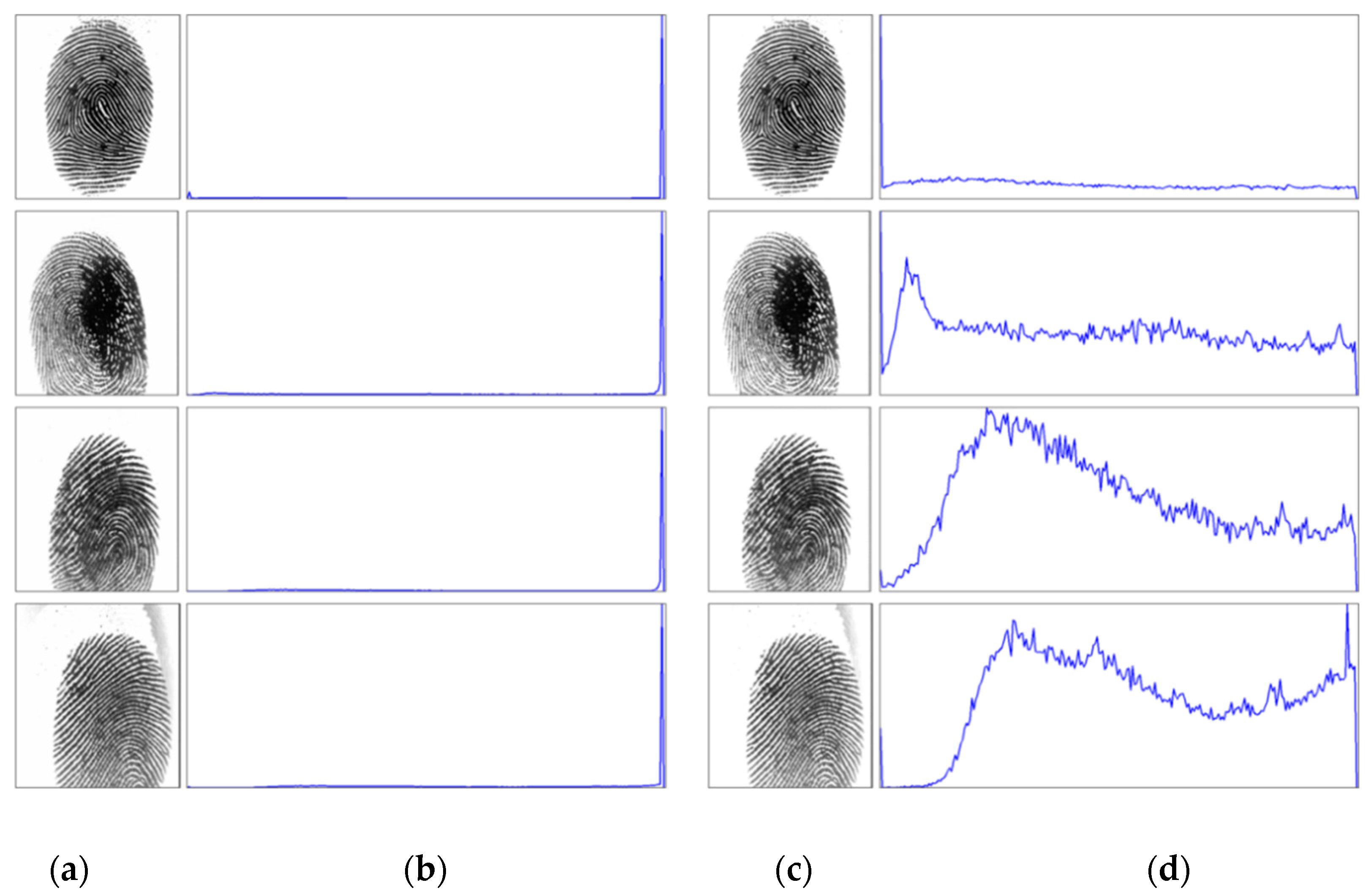 Entropy 21 00786 g008
