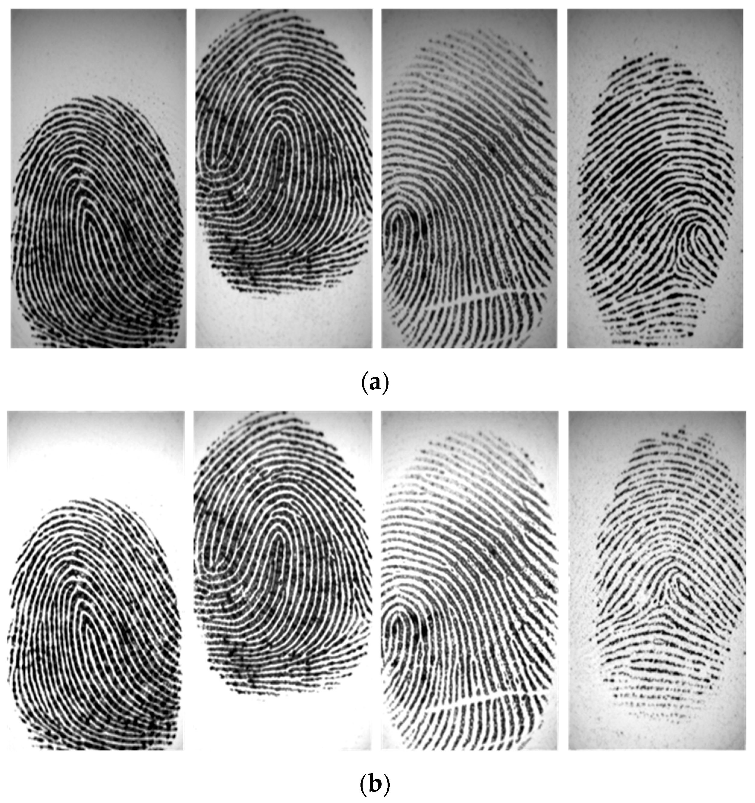 Entropy 21 00786 g009