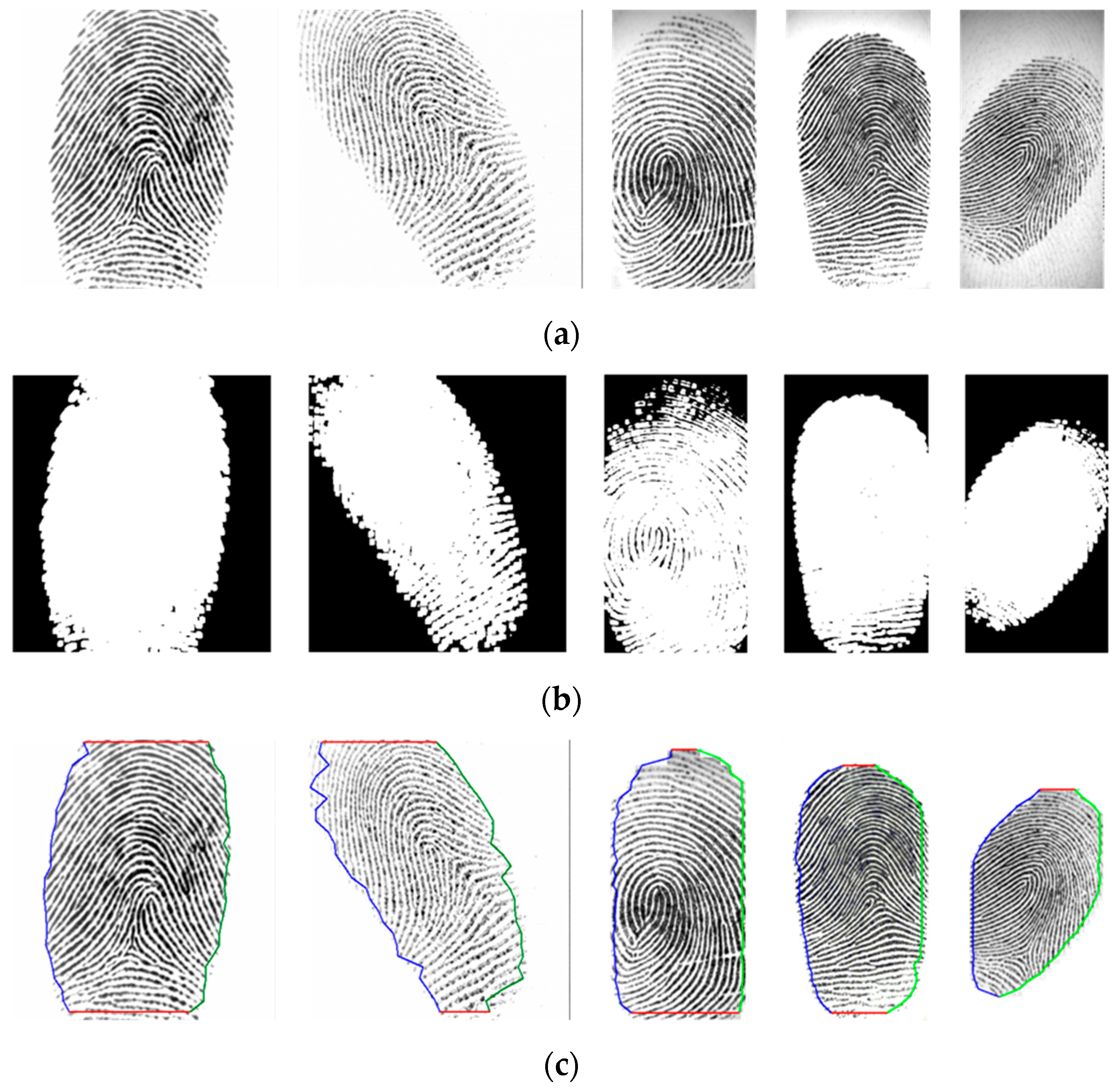Entropy 21 00786 g010