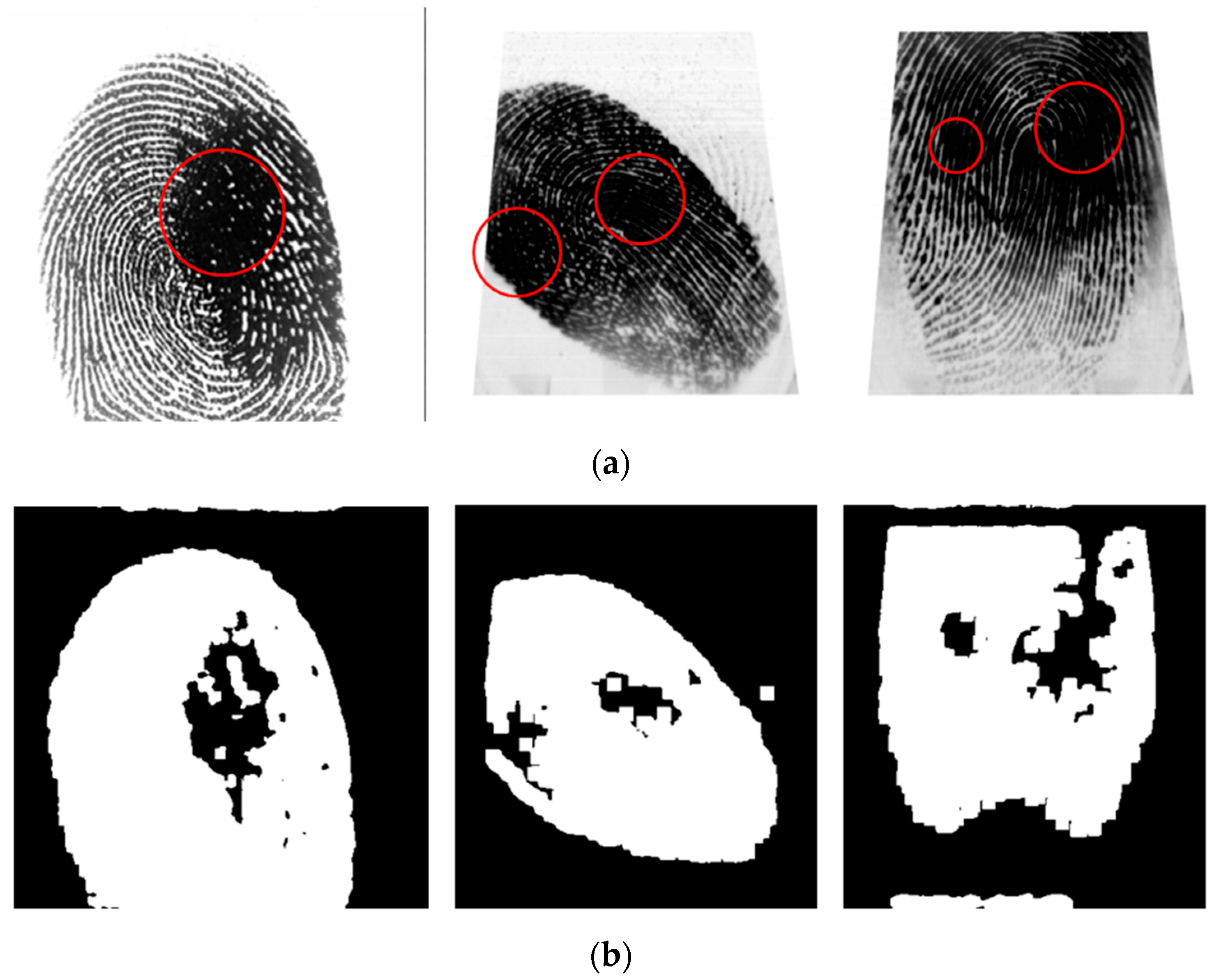 Entropy 21 00786 g011