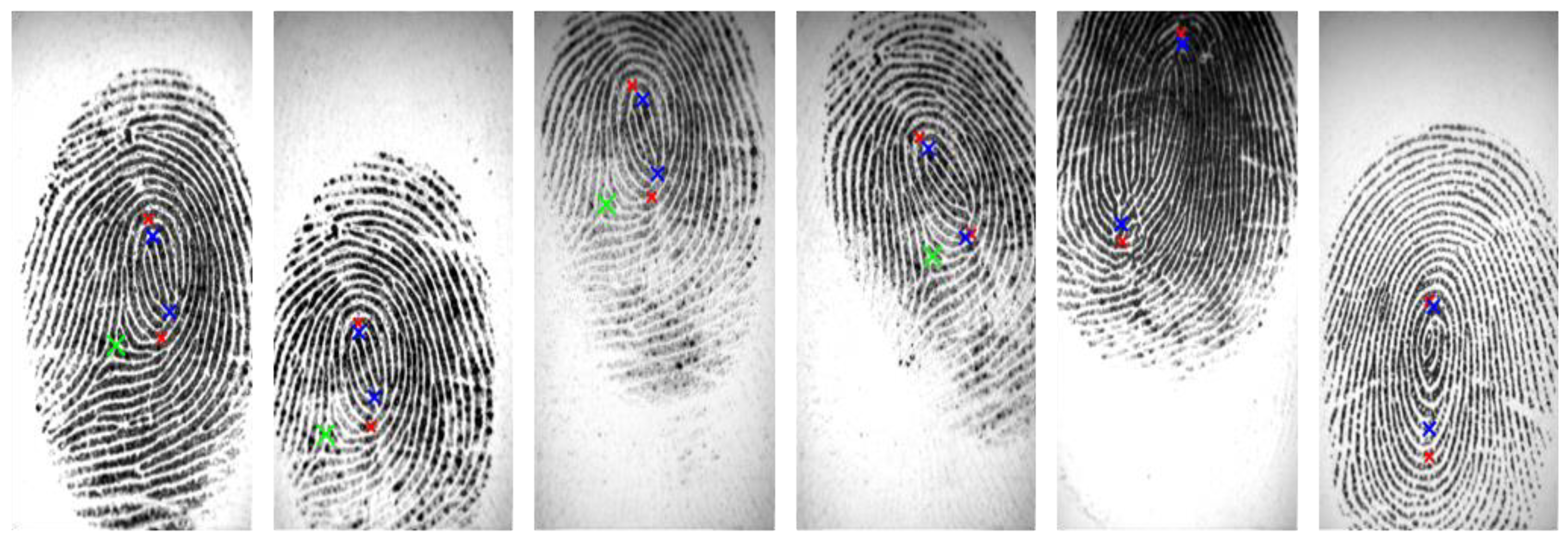 Entropy 21 00786 g013